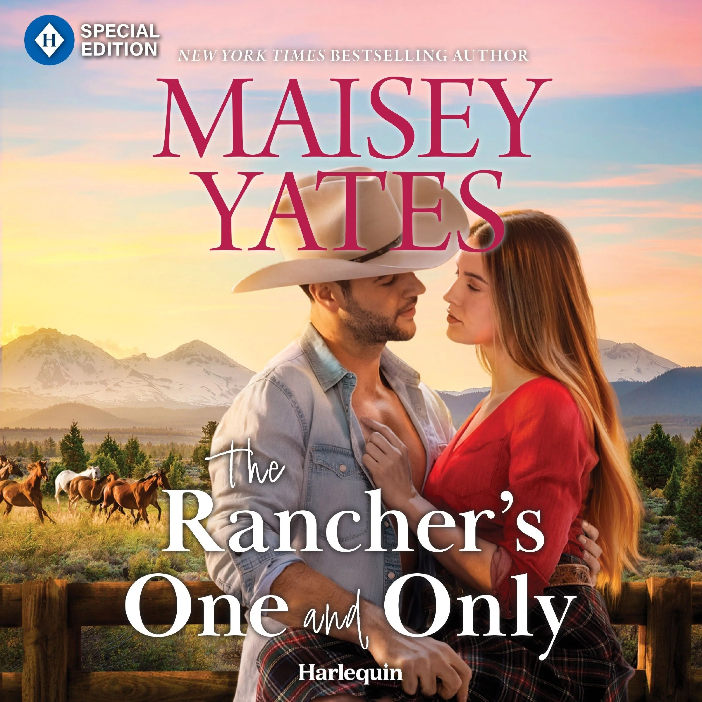 The Rancher's One and Only - Image 2