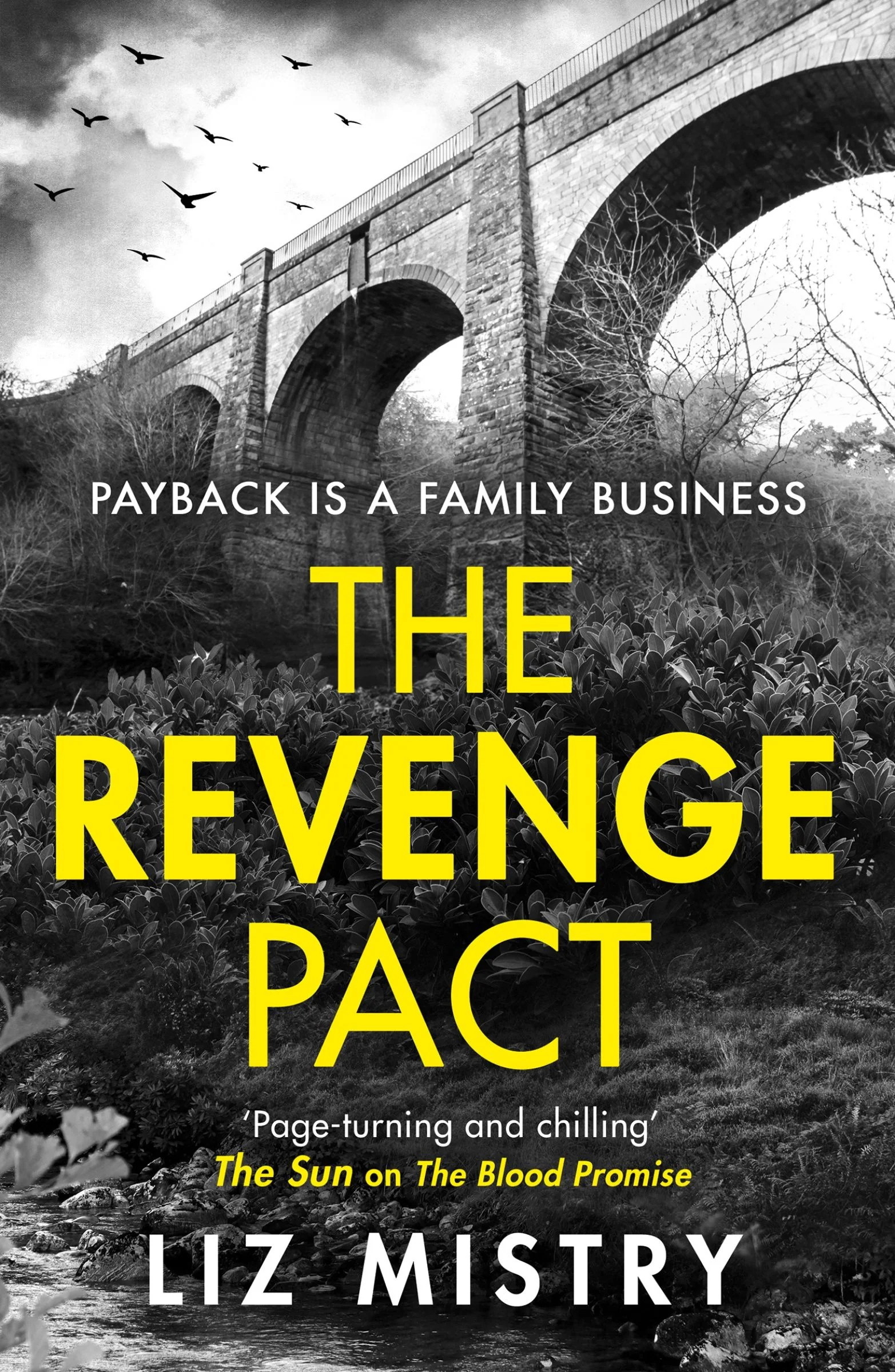 The Revenge Pact (The Solanki and McQueen Crime Series, Book 2) - Image 2