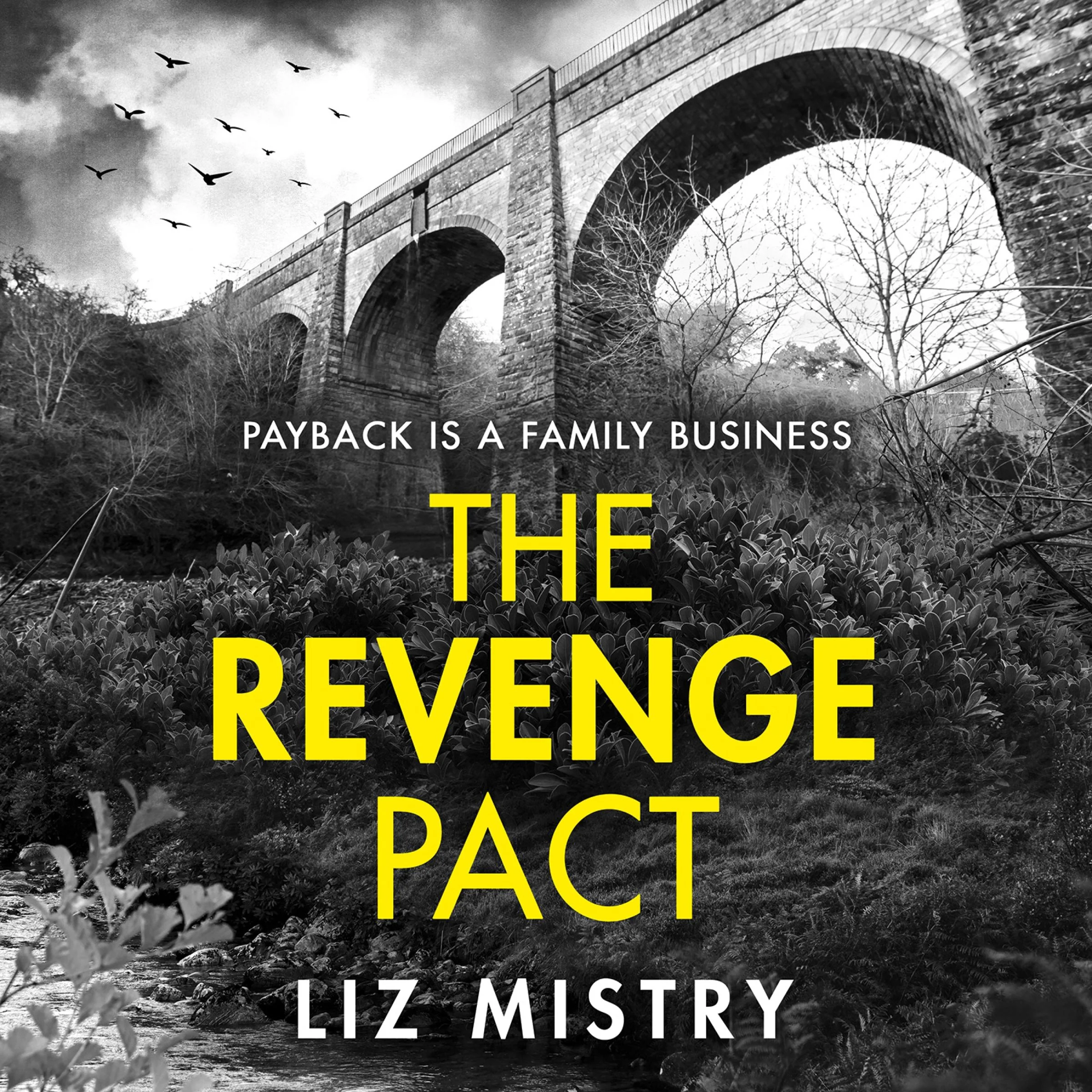 The Revenge Pact (The Solanki and McQueen Crime Series, Book 2) - Image 3