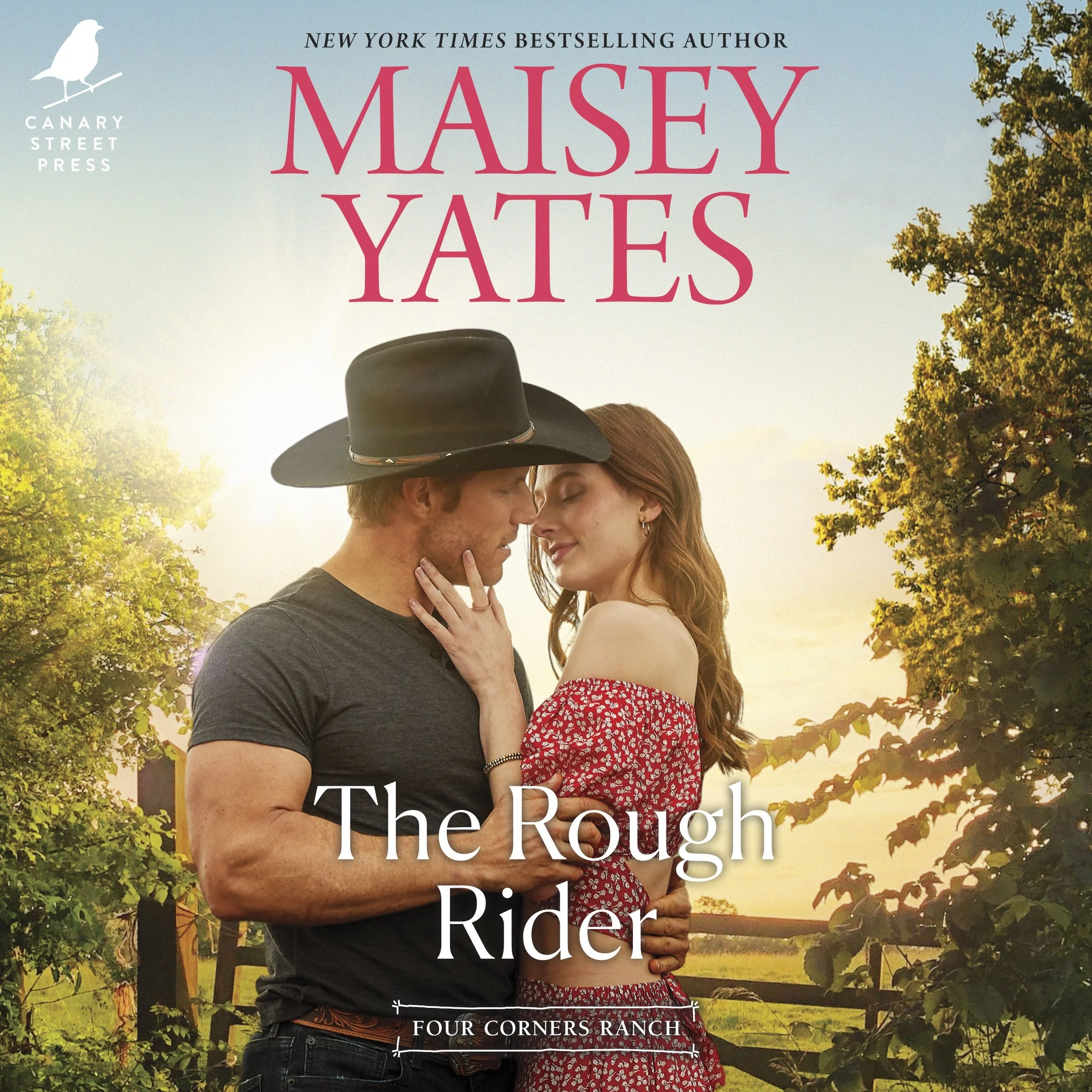 The Rough Rider - Image 4