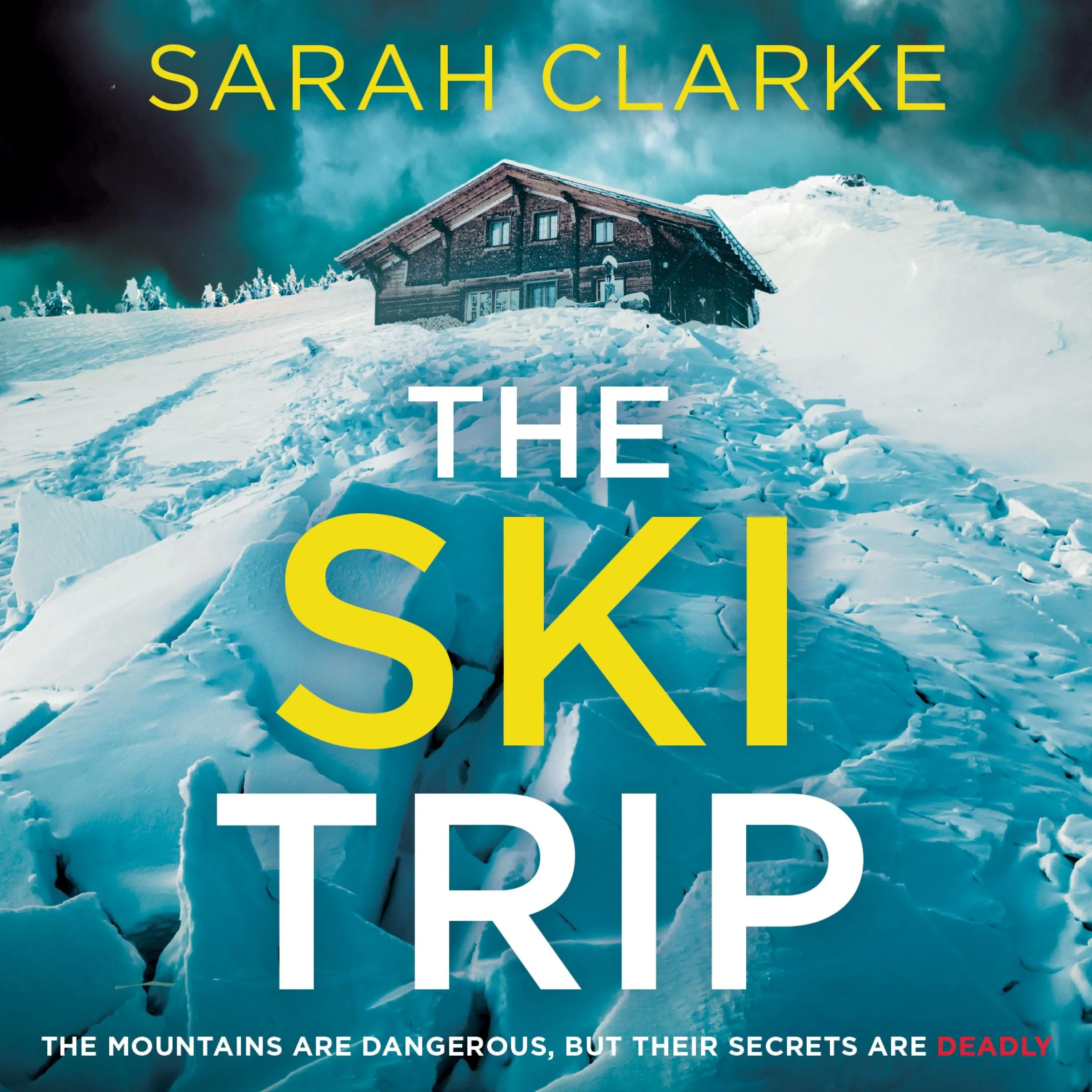 The Ski Trip - Image 3