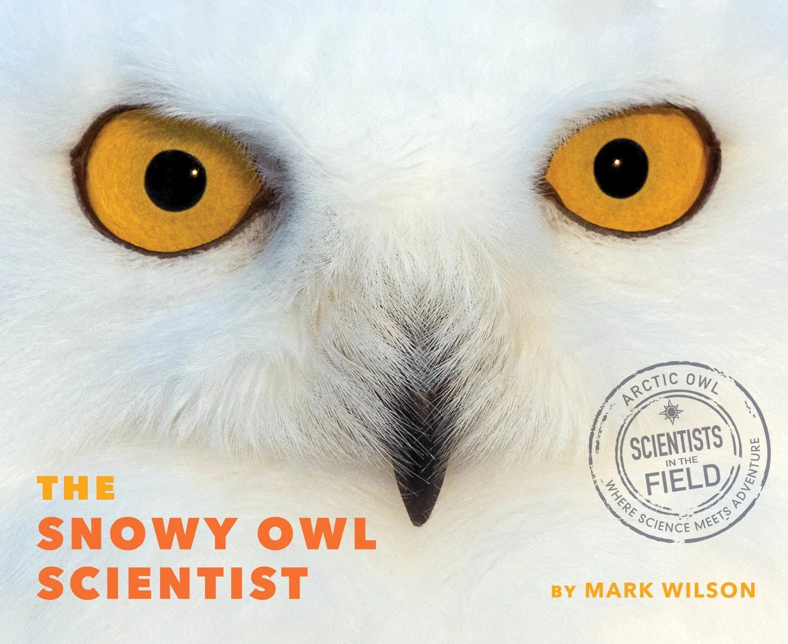 The Snowy Owl Scientist - Image 2