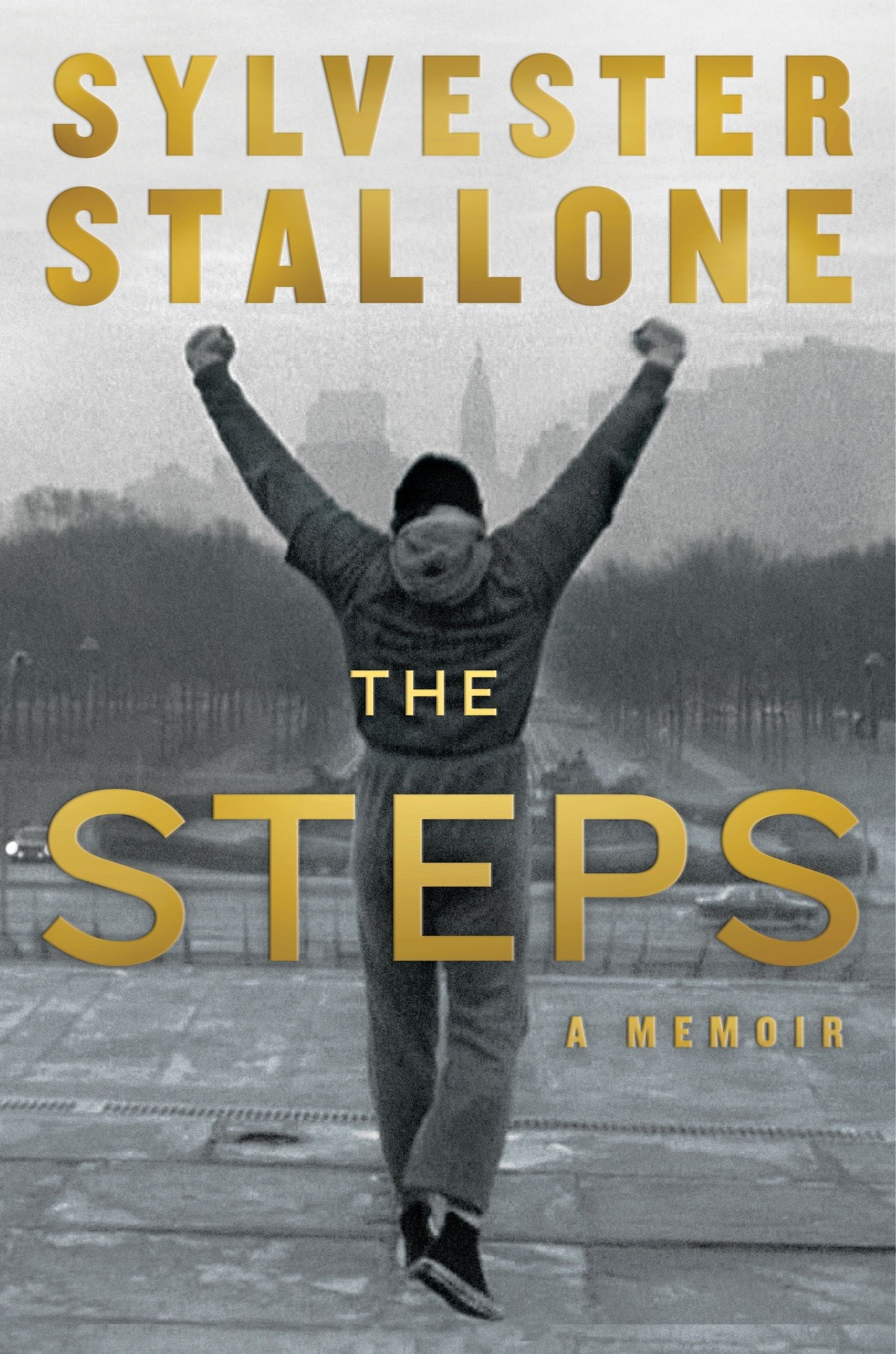 The Steps - Image 2