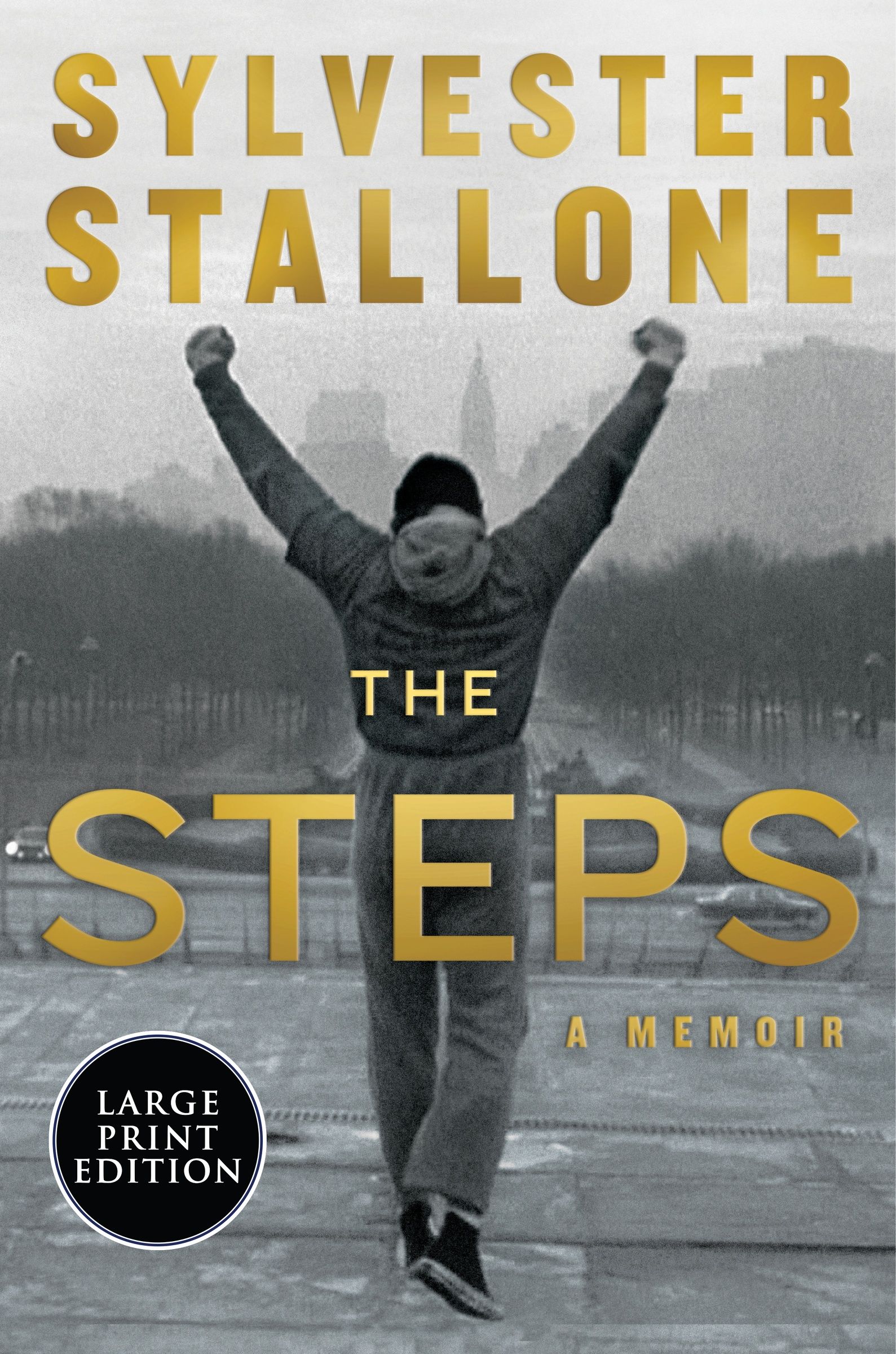 The Steps - Image 4