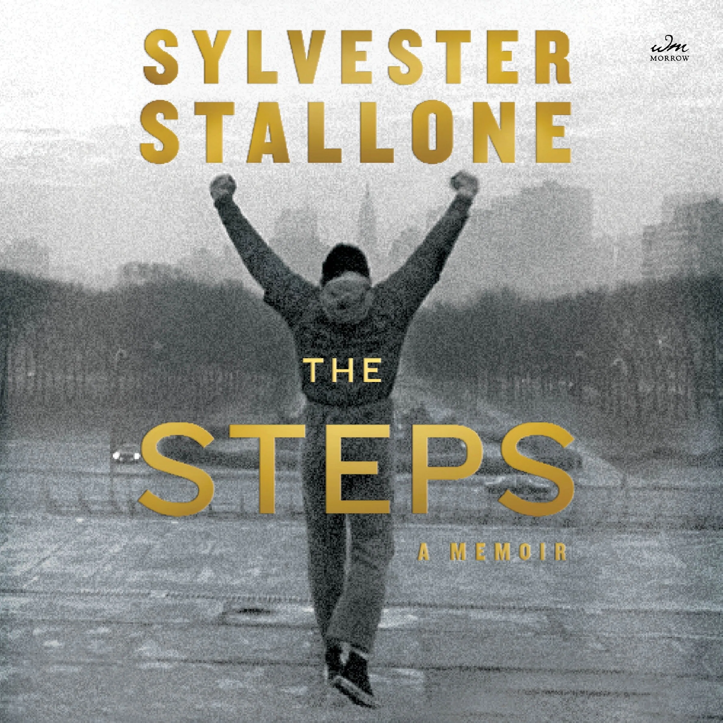 The Steps - Image 5