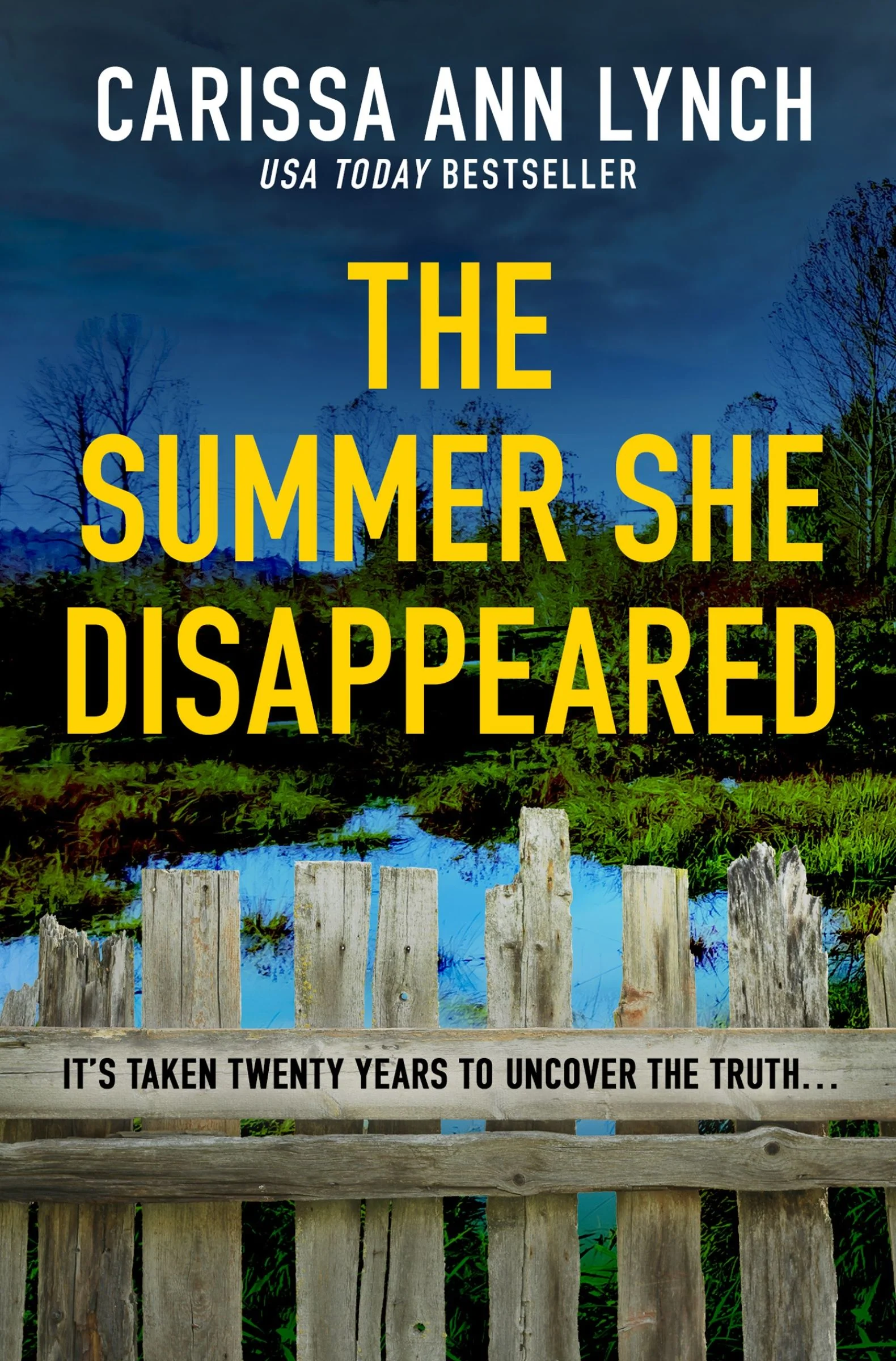 The Summer She Disappeared - Image 3