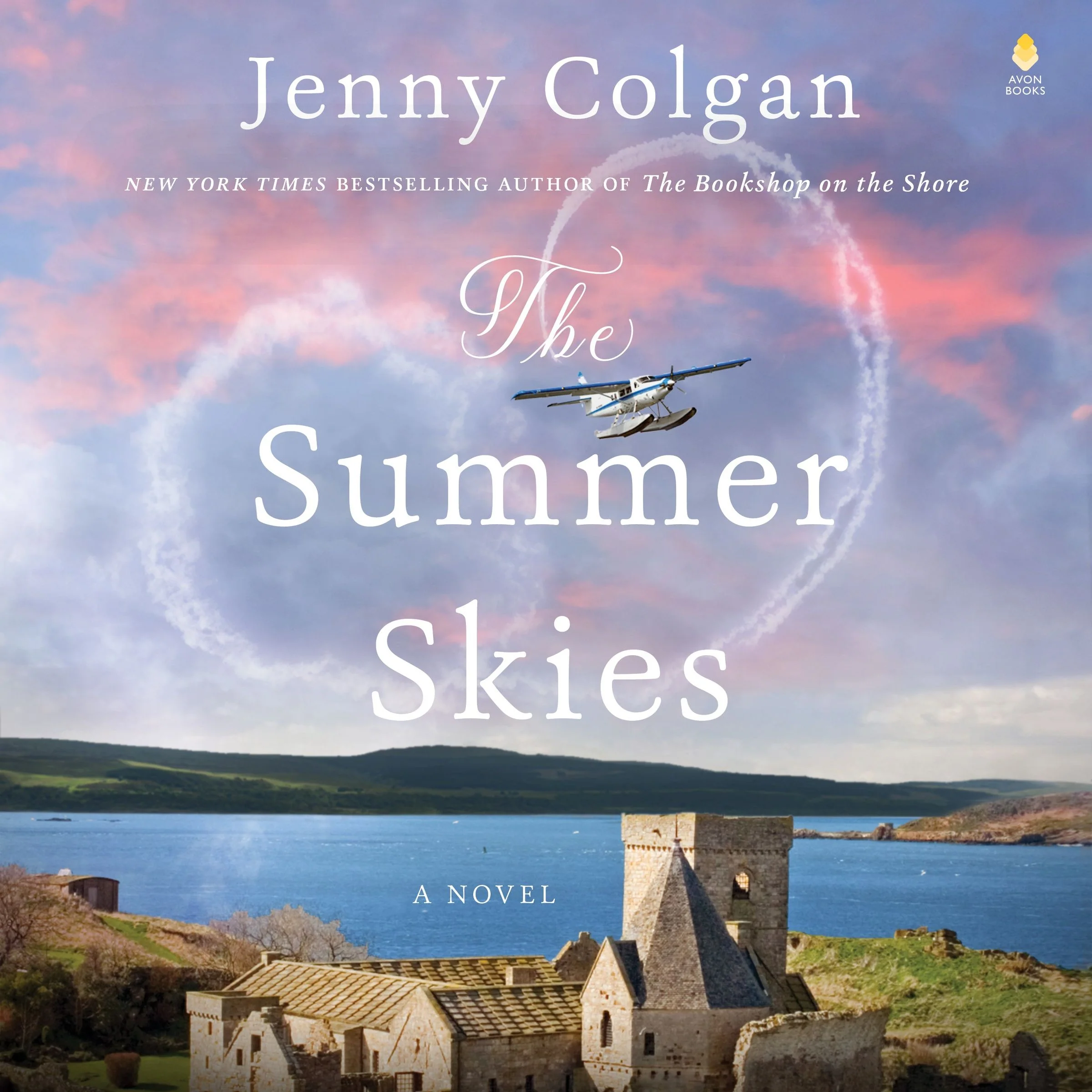 The Summer Skies - Image 5