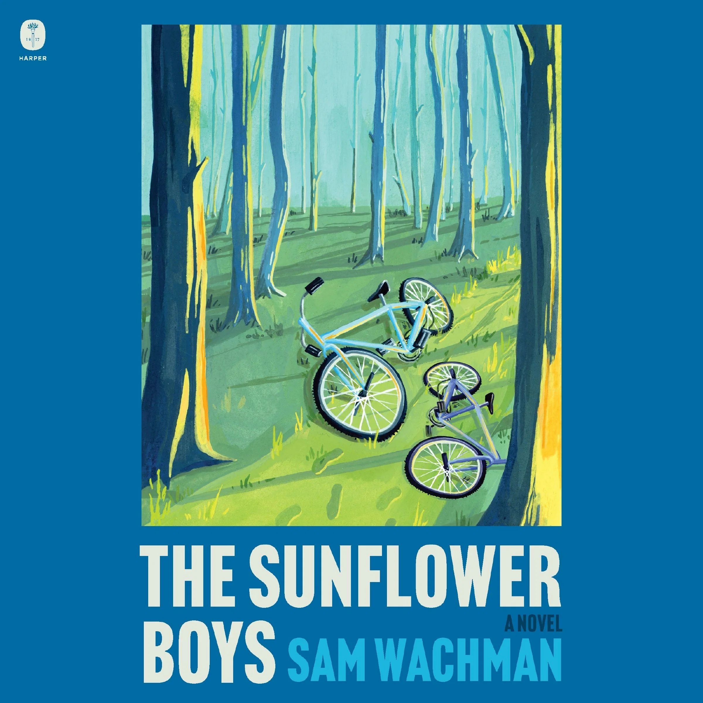 The Sunflower Boys - Image 4