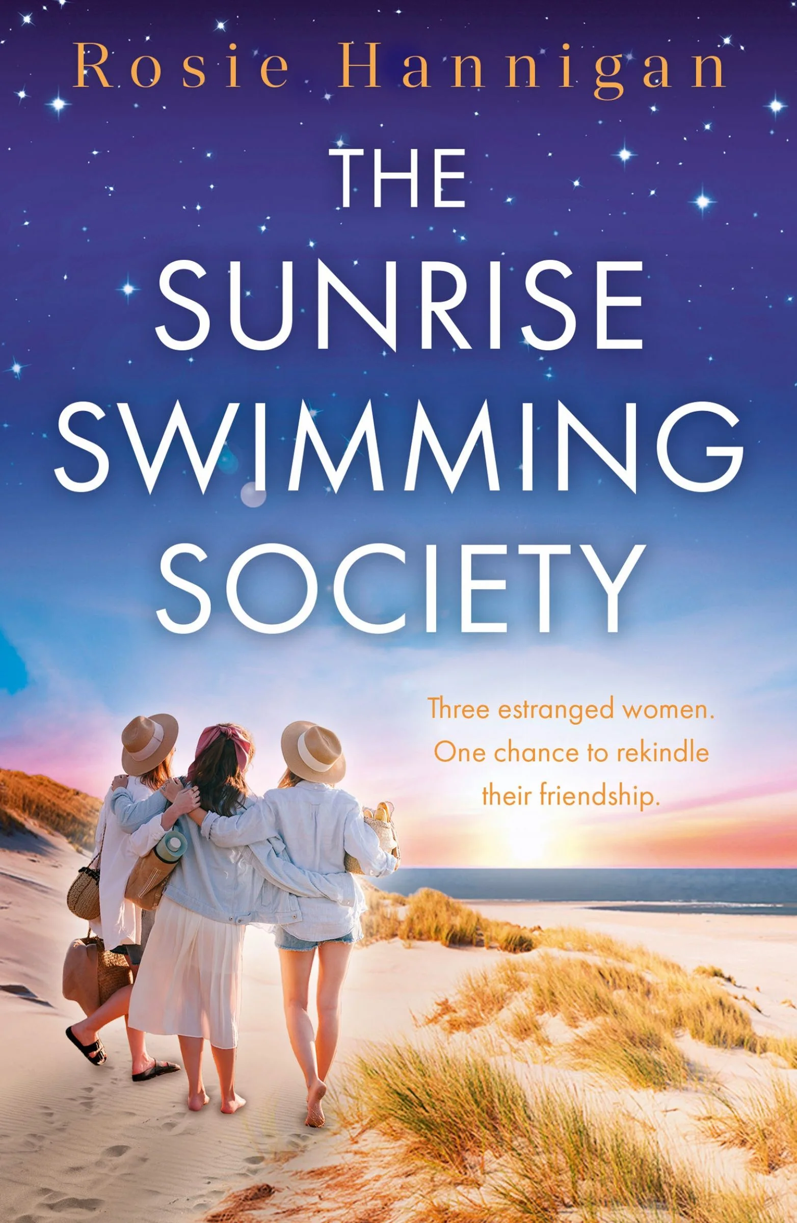 The Sunrise Swimming Society - Image 2