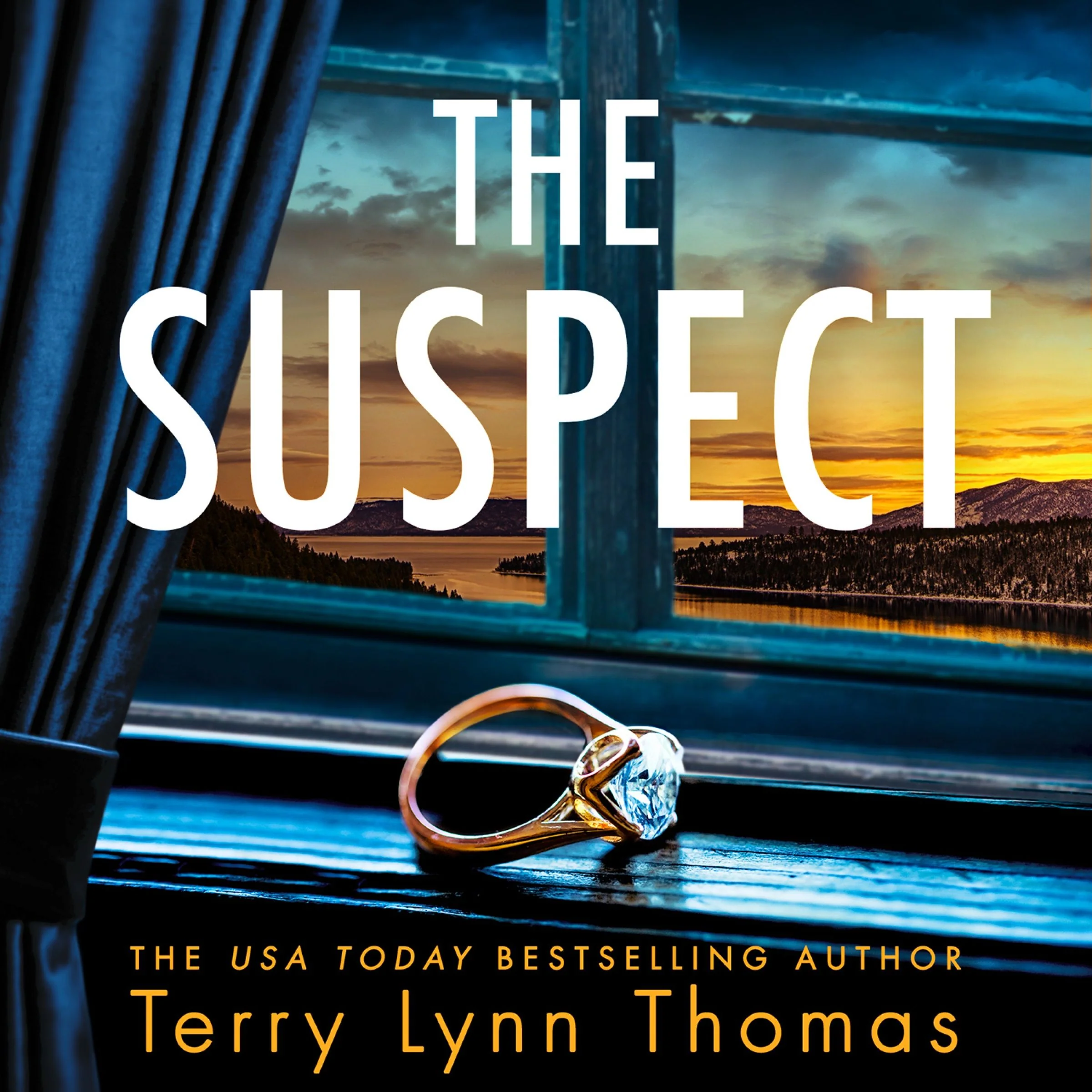 The Suspect - Image 3