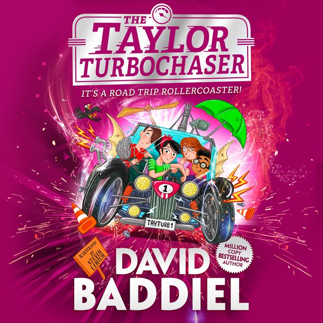 The Taylor TurboChaser - Image 3