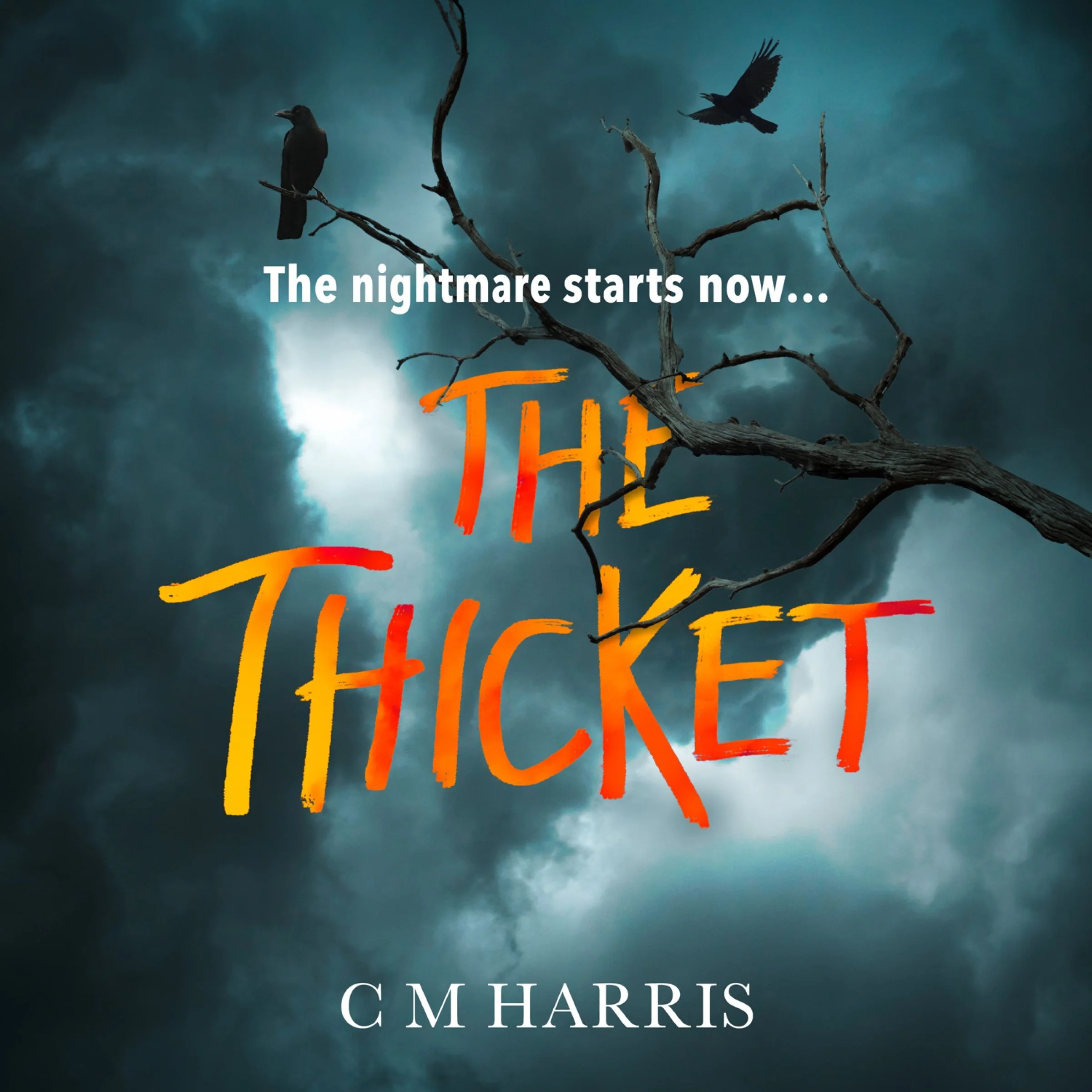 The Thicket - Image 3