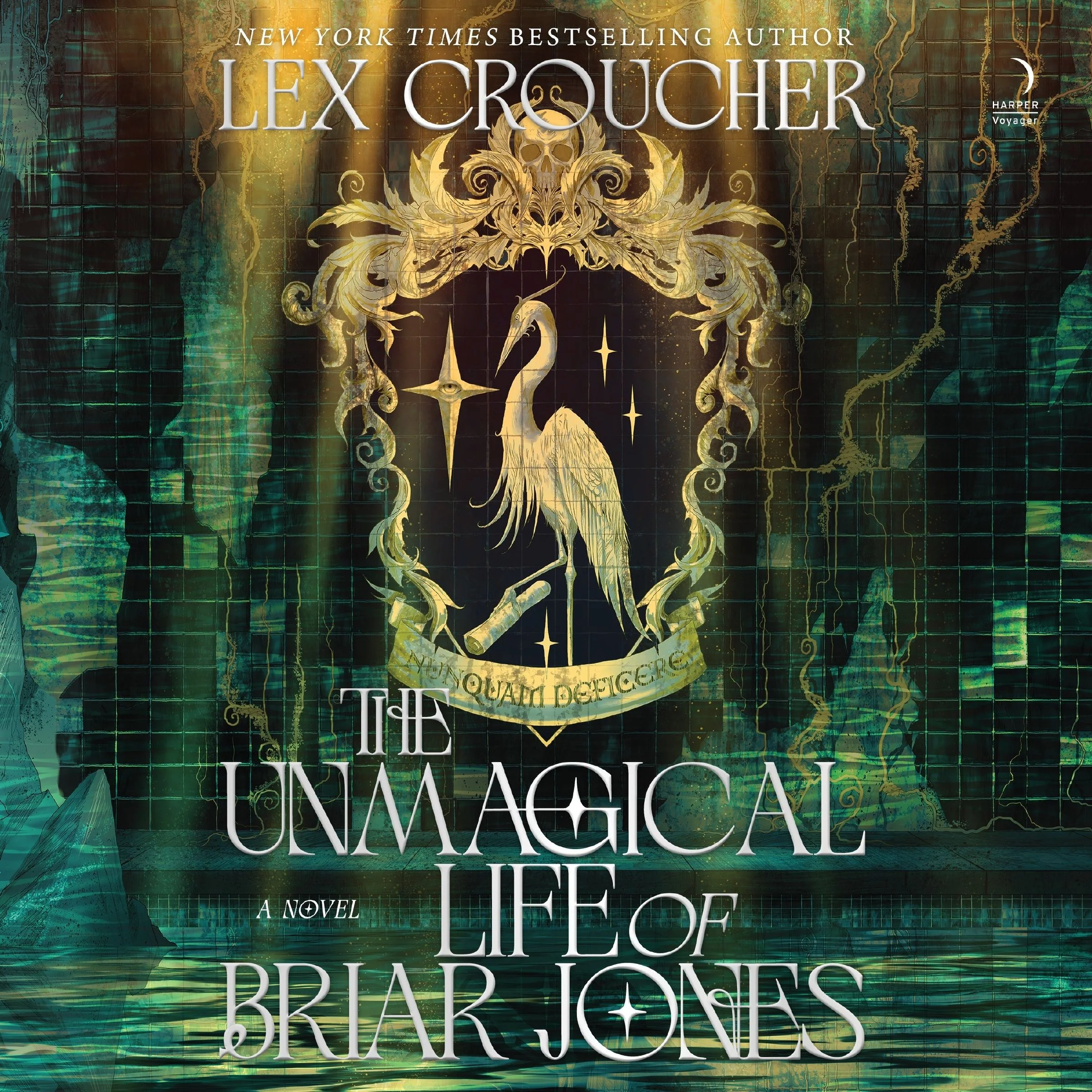 The Unmagical Life of Briar Jones - Image 2