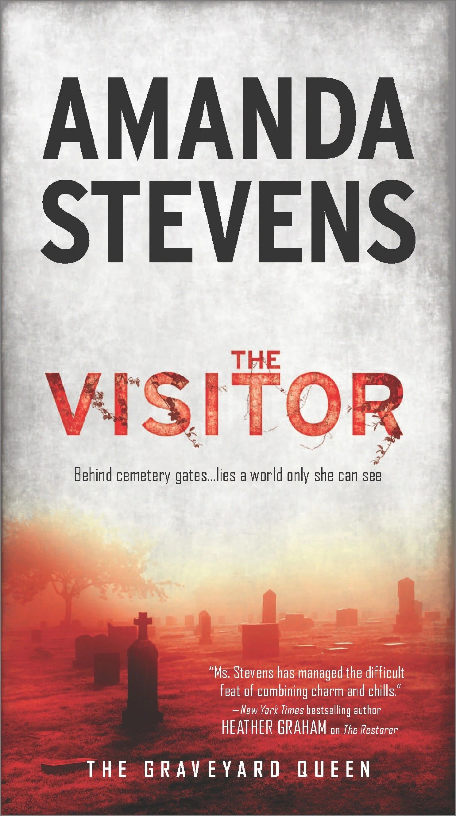 The Visitor - Image 2