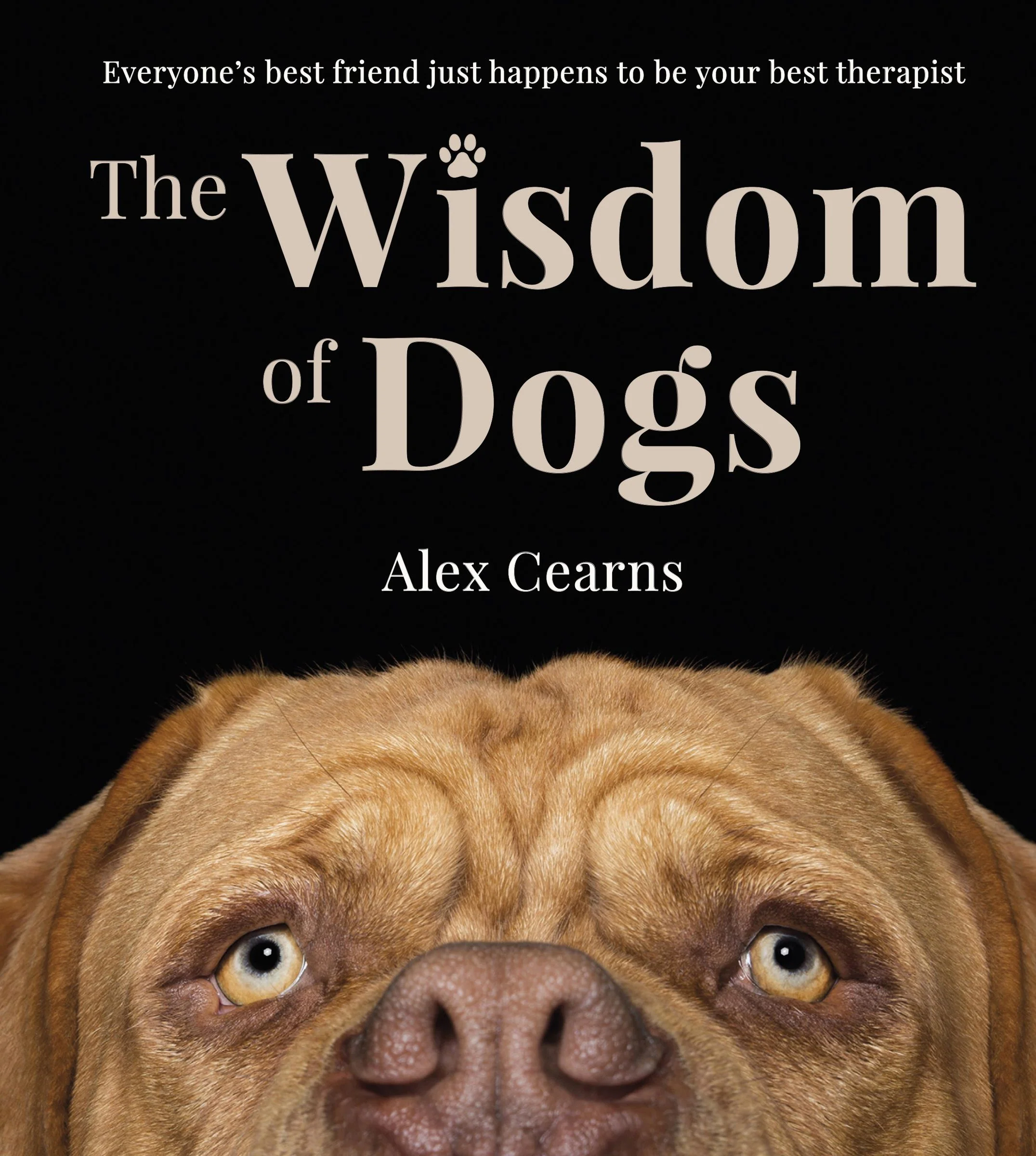 The Wisdom Of Dogs: The adorable and funny new book from the photographer behind the bestselling QUOKKA'S GUIDE TO HAPPINESS and ZEN DOGS - Image 2