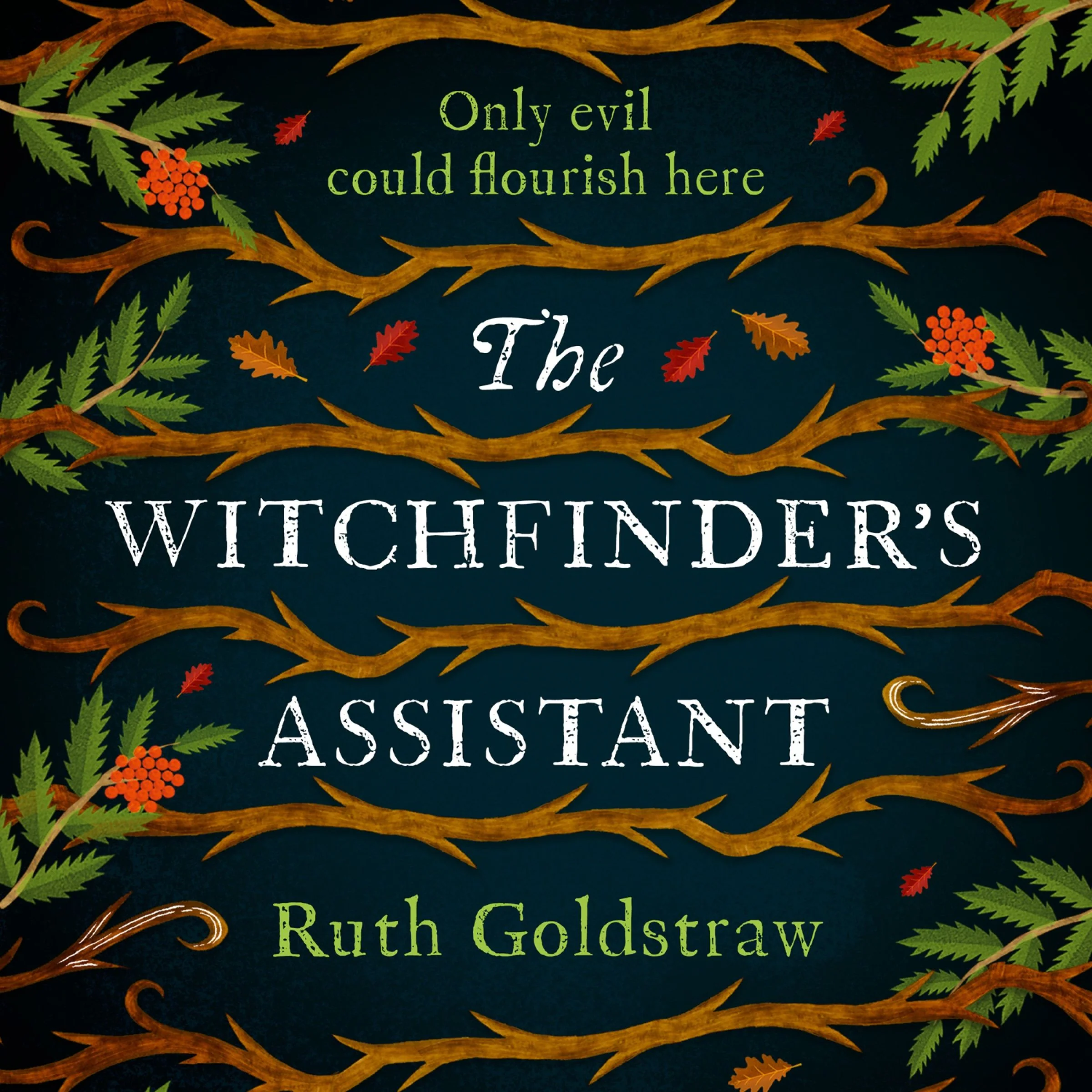 The Witchfinder’s Assistant - Image 3