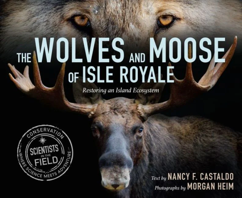 The Wolves and Moose of Isle Royale - Image 4