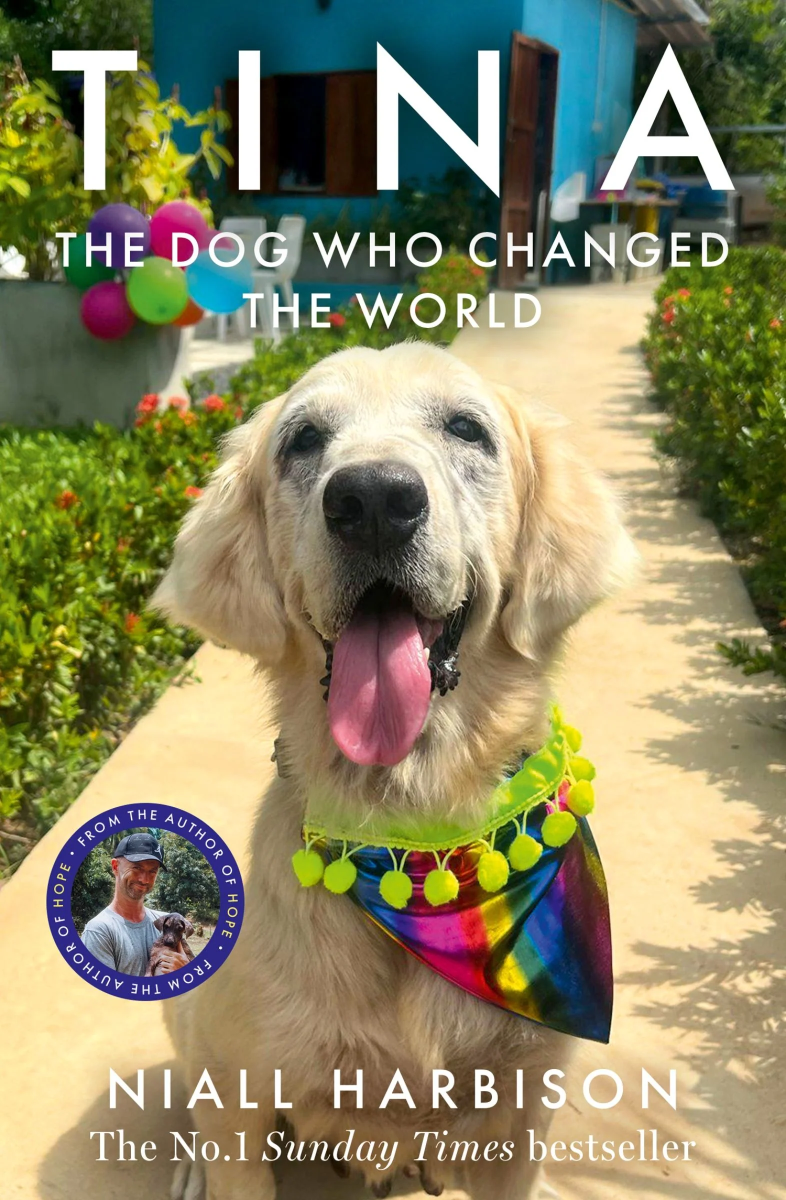 Tina: The Dog Who Changed the World - Image 5