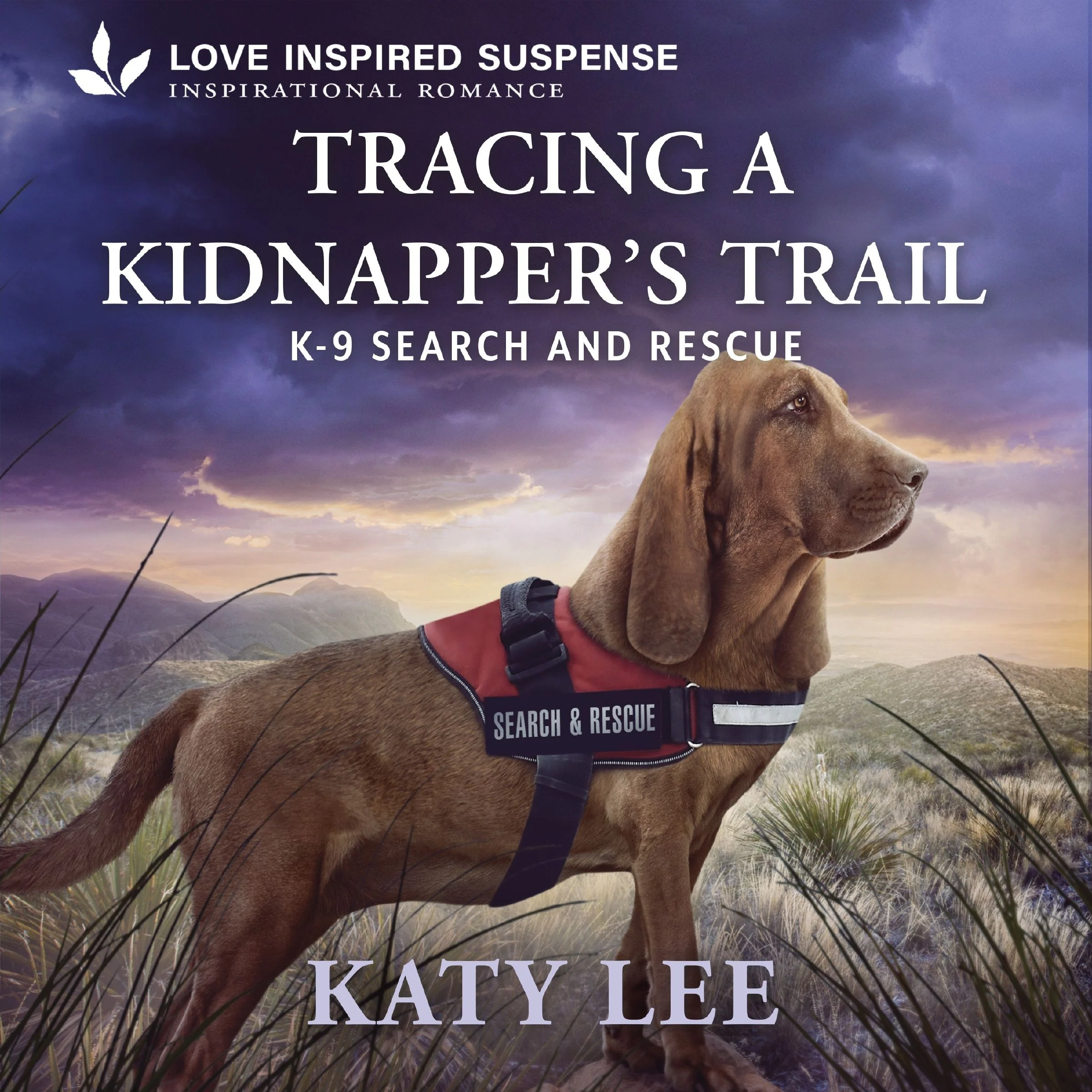 Tracing a Kidnapper's Trail - Image 2