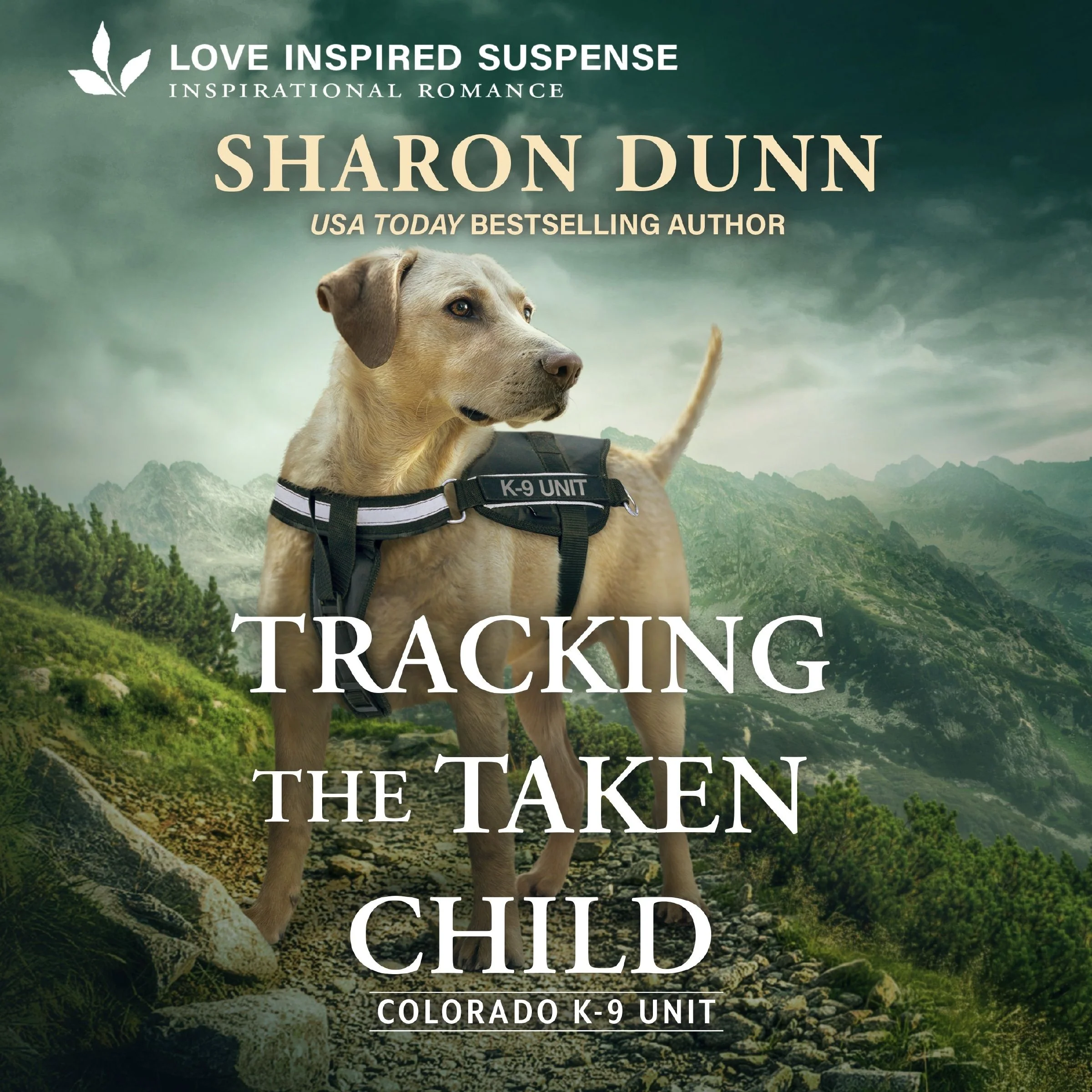 Tracking the Taken Child - Image 2