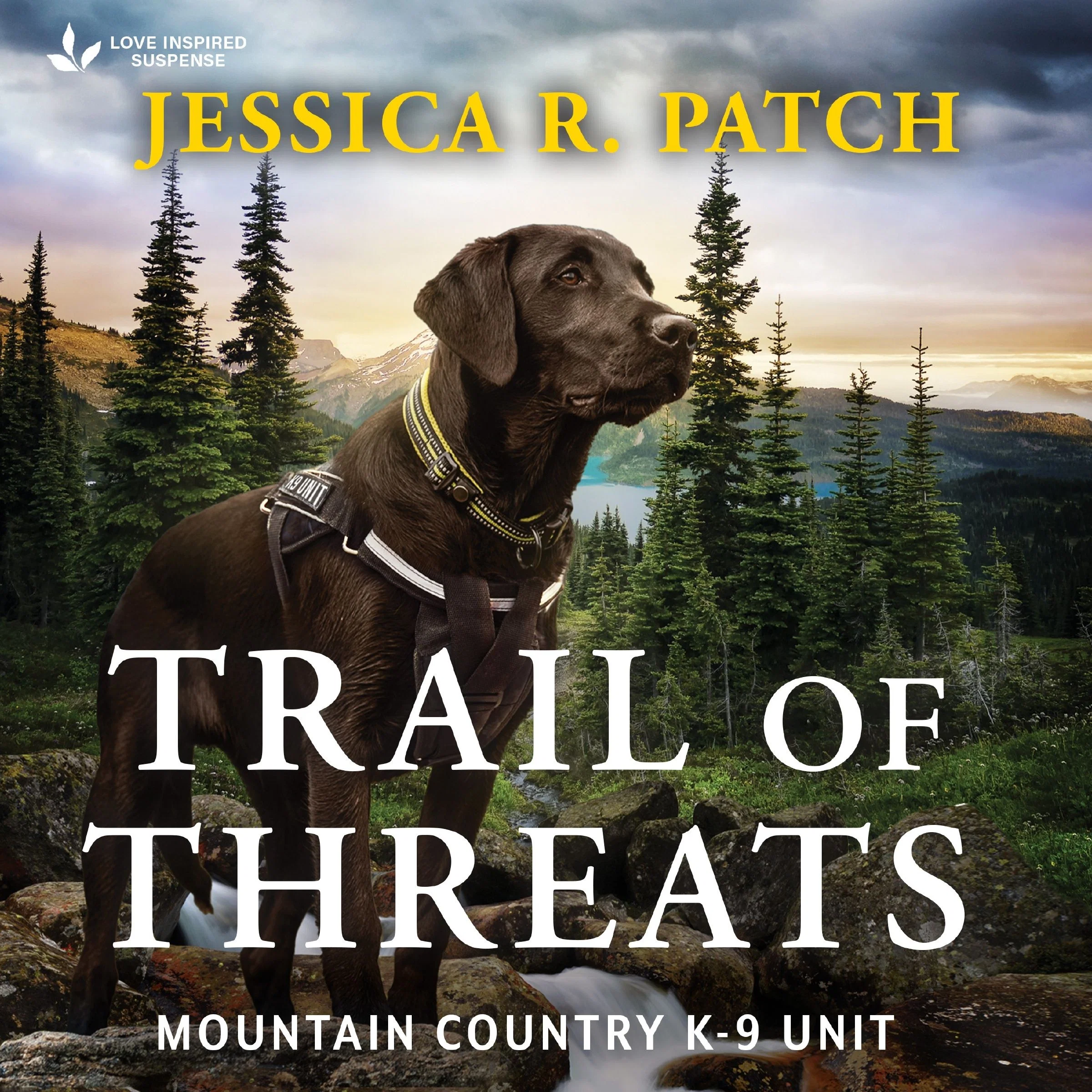 Trail of Threats - Image 2