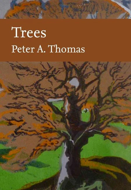 Trees - Image 3
