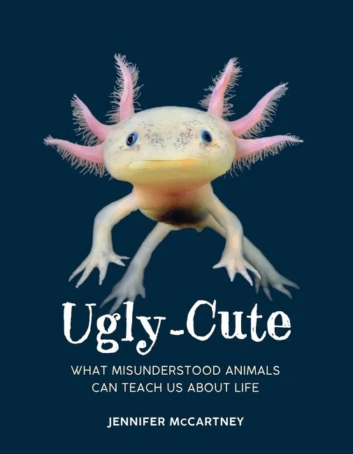 Ugly-Cute - Image 2