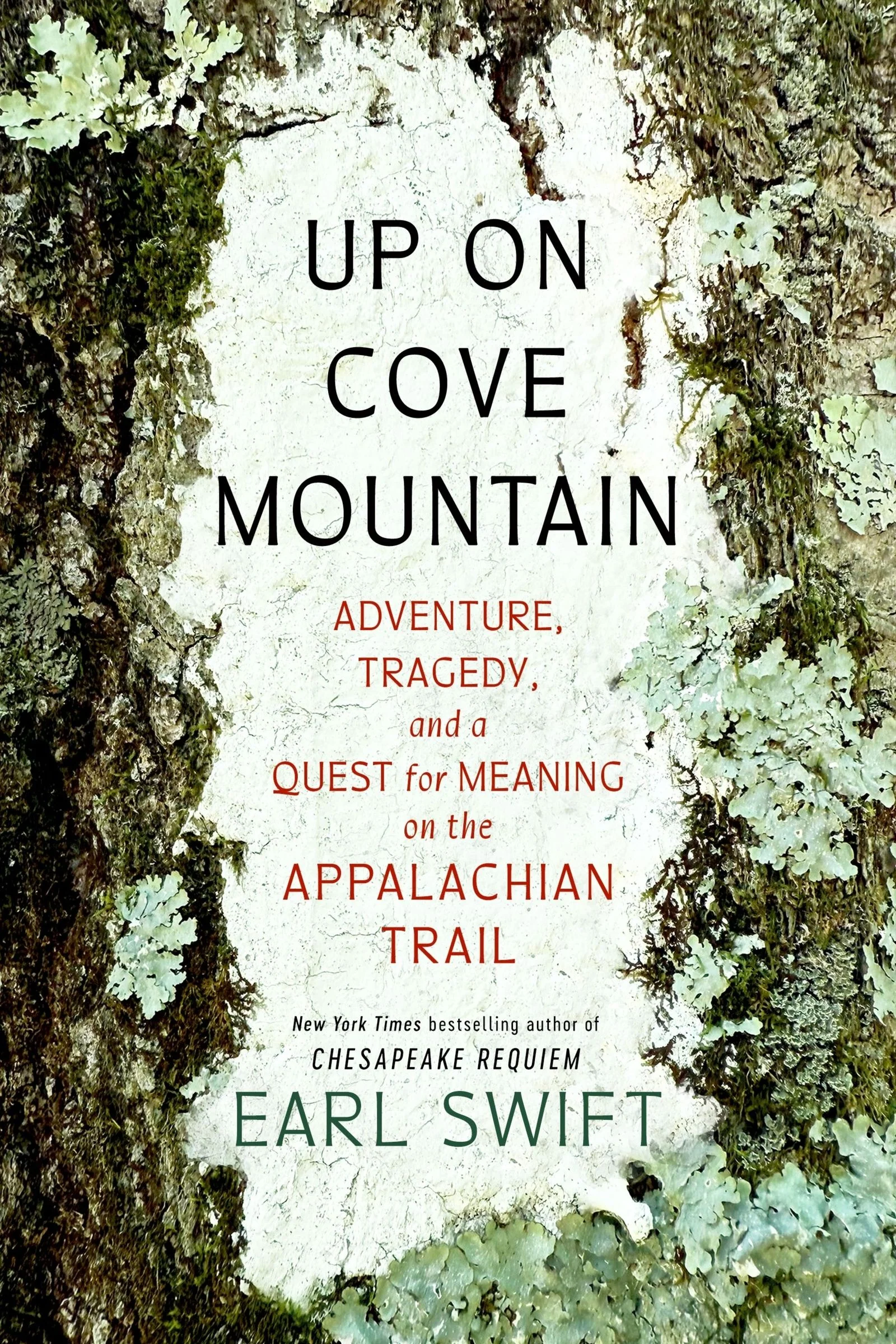 Up on Cove Mountain - Image 4