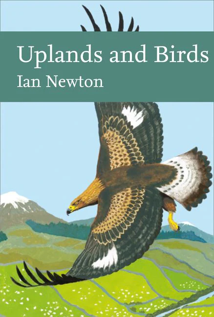 Uplands and Birds - Image 3