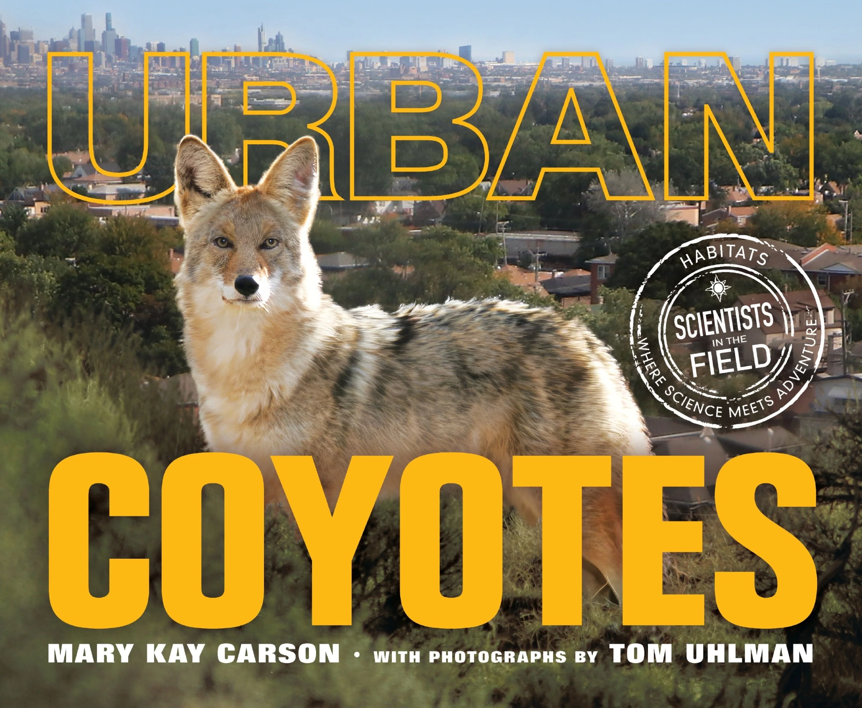 Urban Coyotes - Image 2