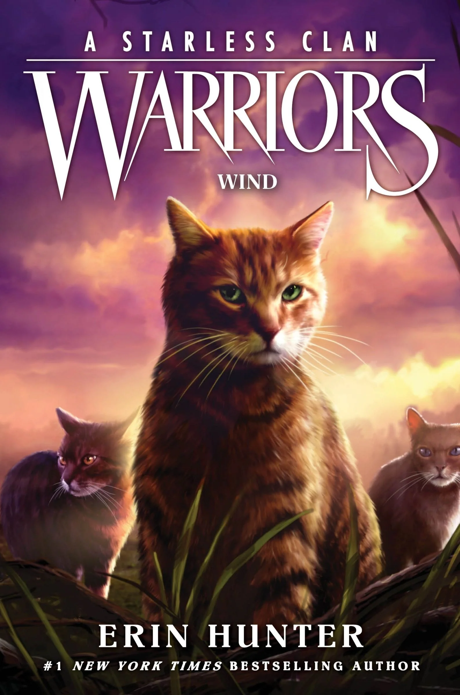 Warriors: A Starless Clan #5: Wind - Image 2