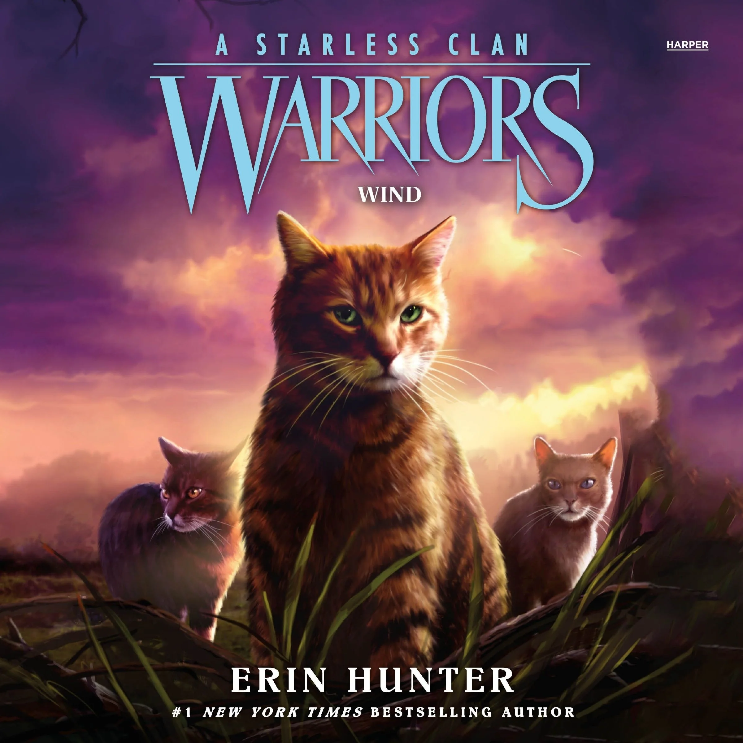 Warriors: A Starless Clan #5: Wind - Image 5