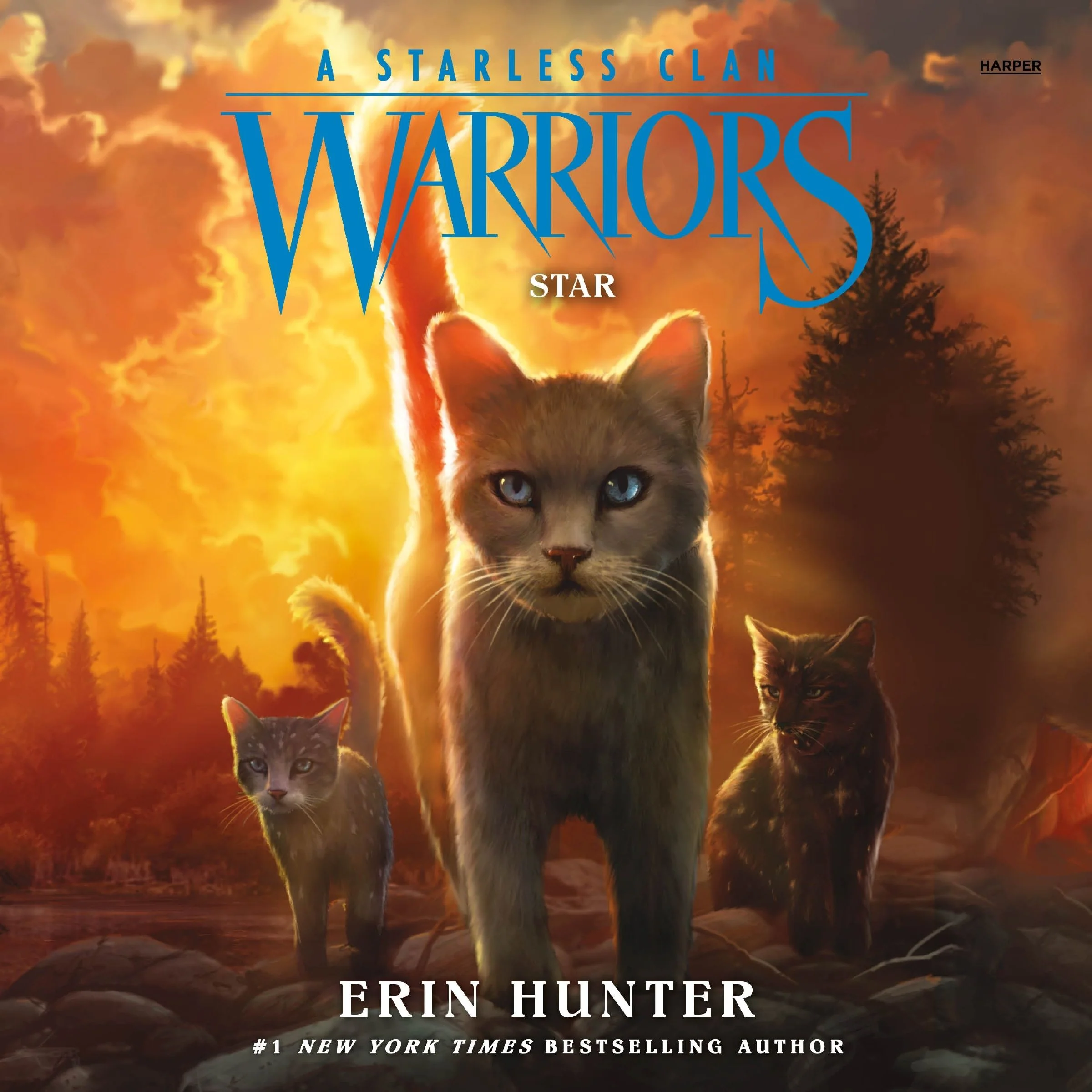 Warriors: A Starless Clan #6: Star - Image 4