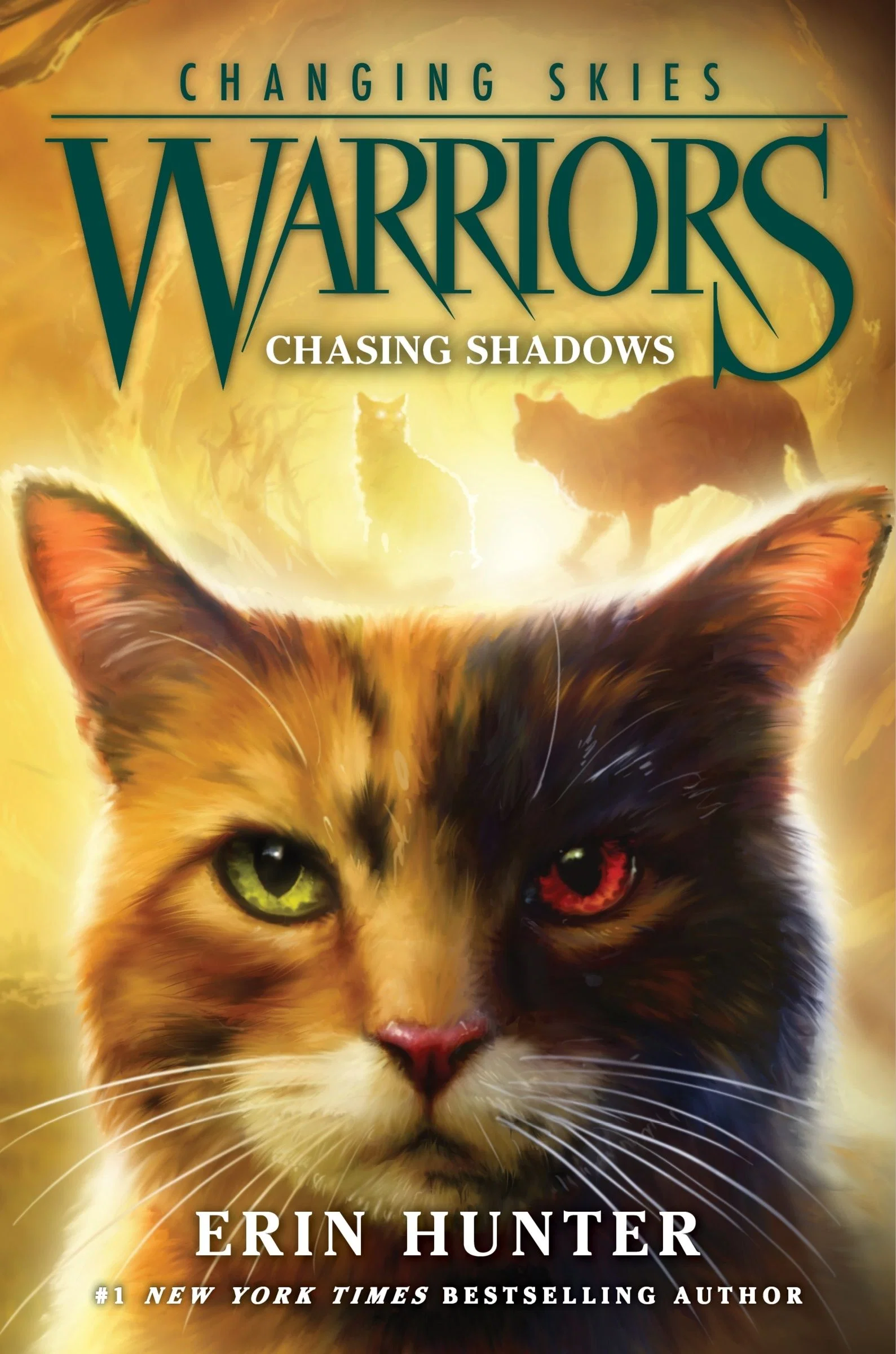 Warriors: Changing Skies #3: Chasing Shadows - Image 2