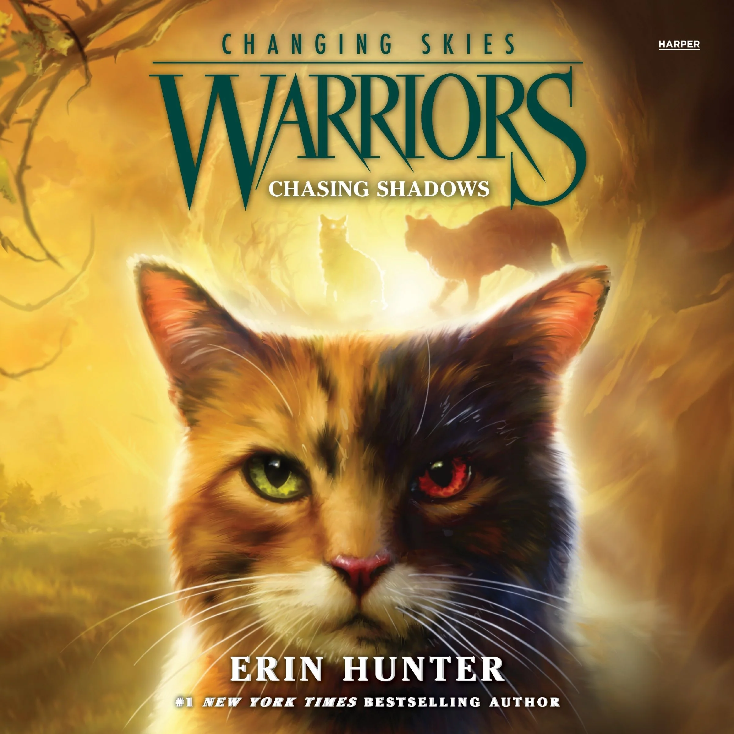 Warriors: Changing Skies #3: Chasing Shadows - Image 3