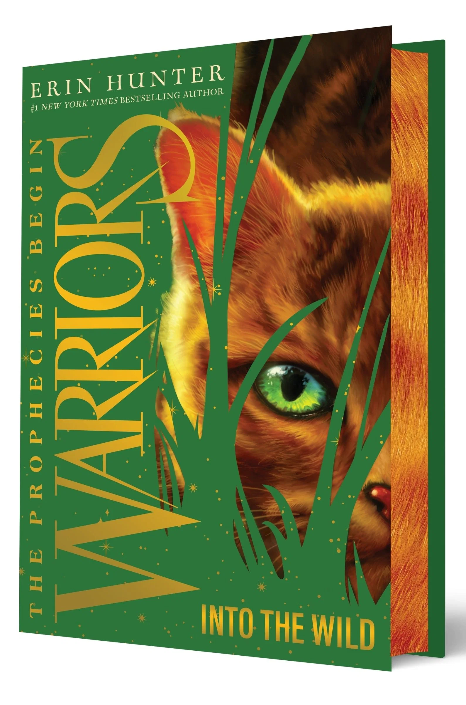 Warriors: The Prophecies Begin #1: Into the Wild Collector's Deluxe Limited Ed - Image 2