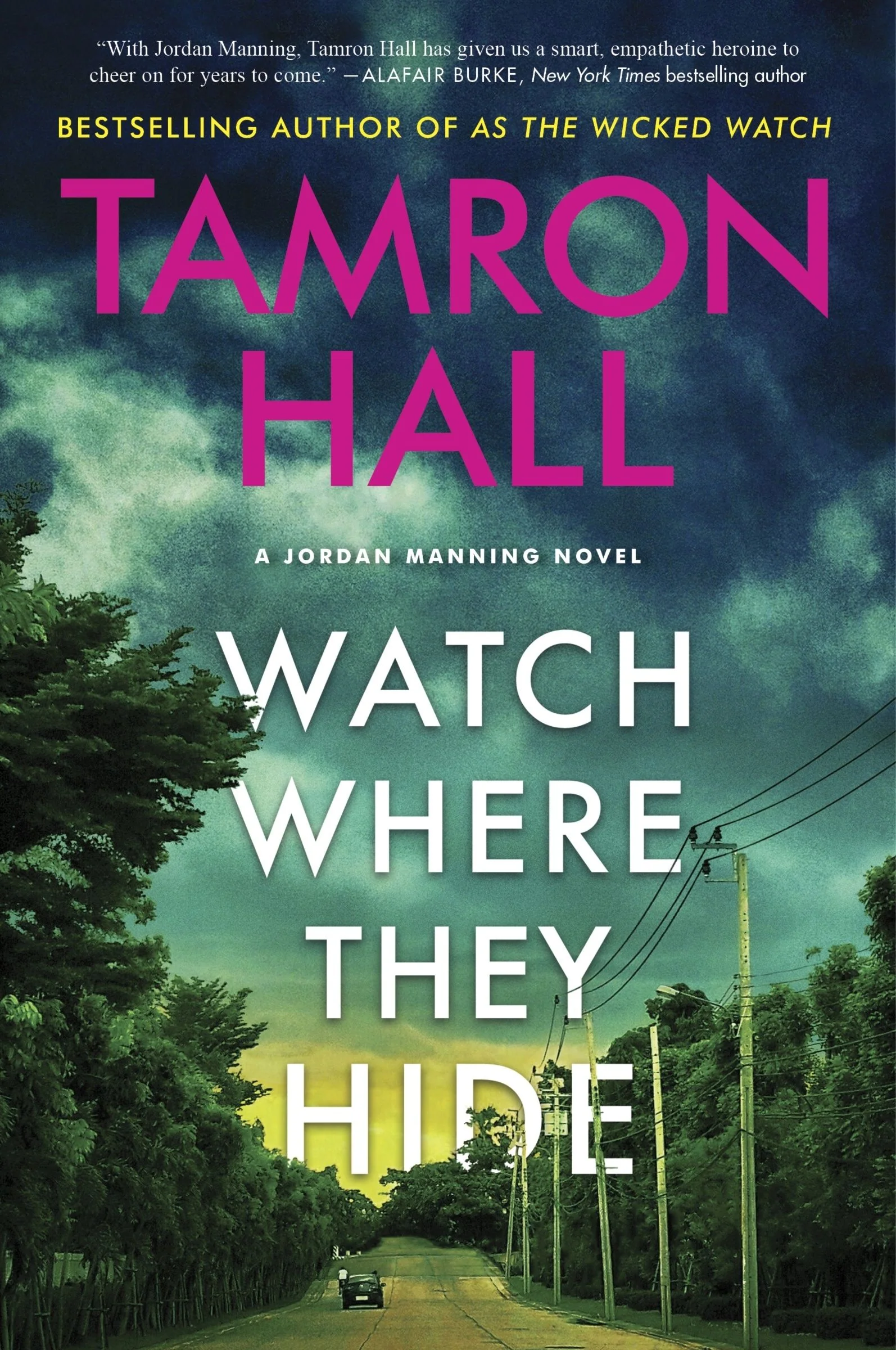 Watch Where They Hide - Image 3