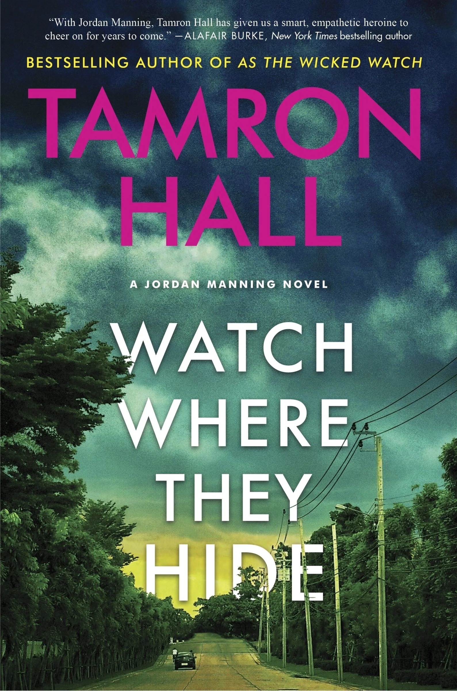 Watch Where They Hide - Image 5