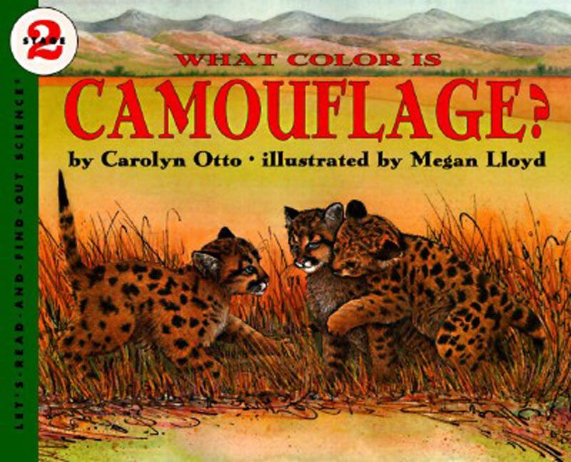 What Color Is Camouflage? - Image 2