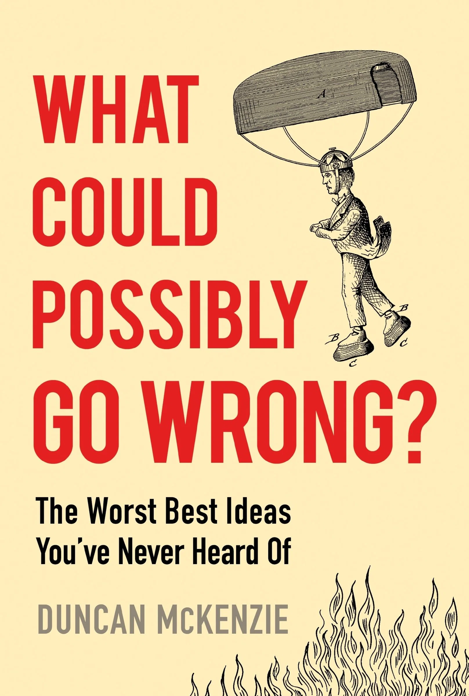 What Could Possibly Go Wrong? - Image 2