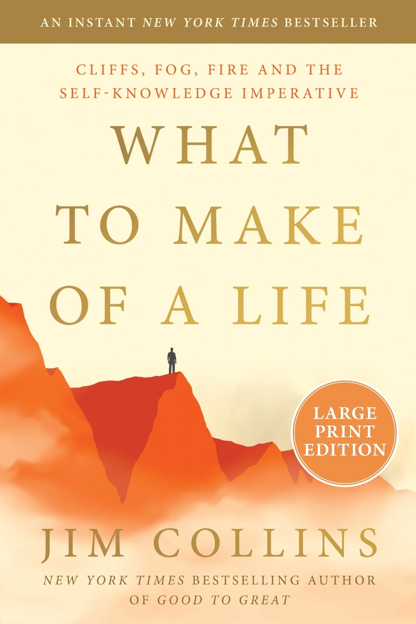 What to Make of a Life - Image 5