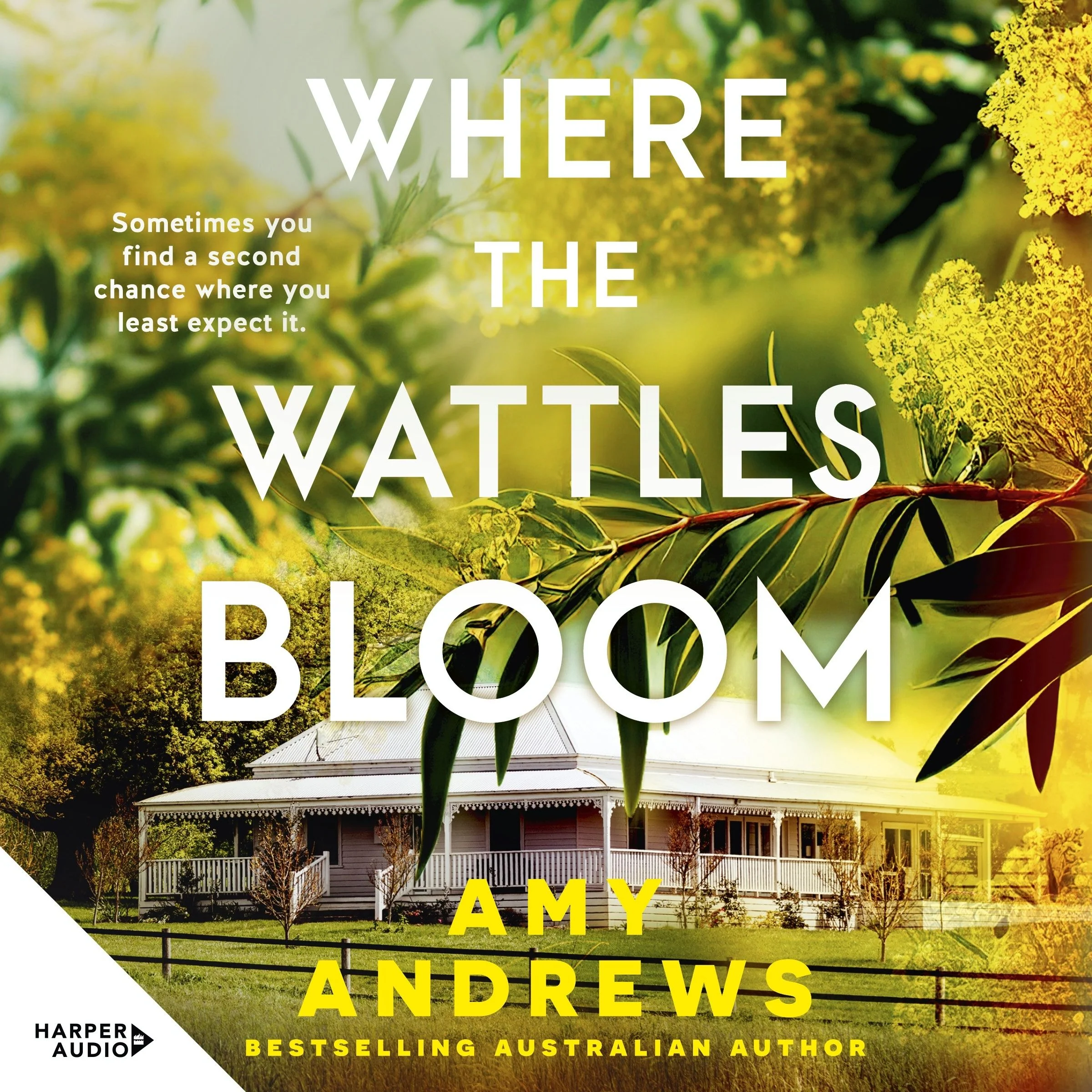 Where the Wattles Bloom - Image 2