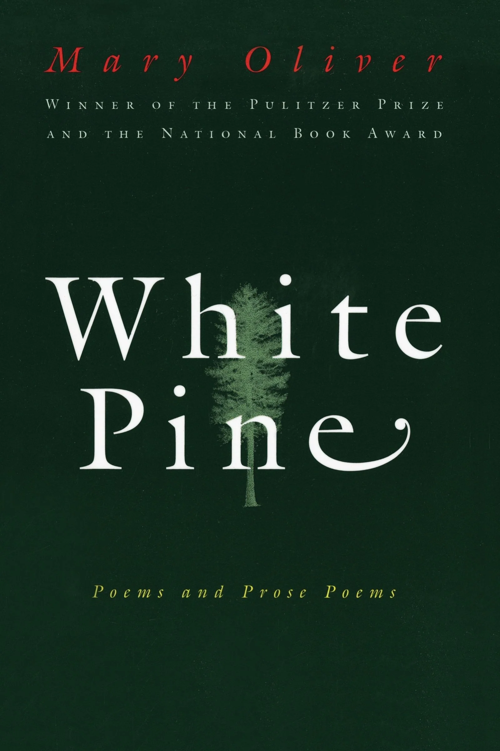 White Pine - Image 2