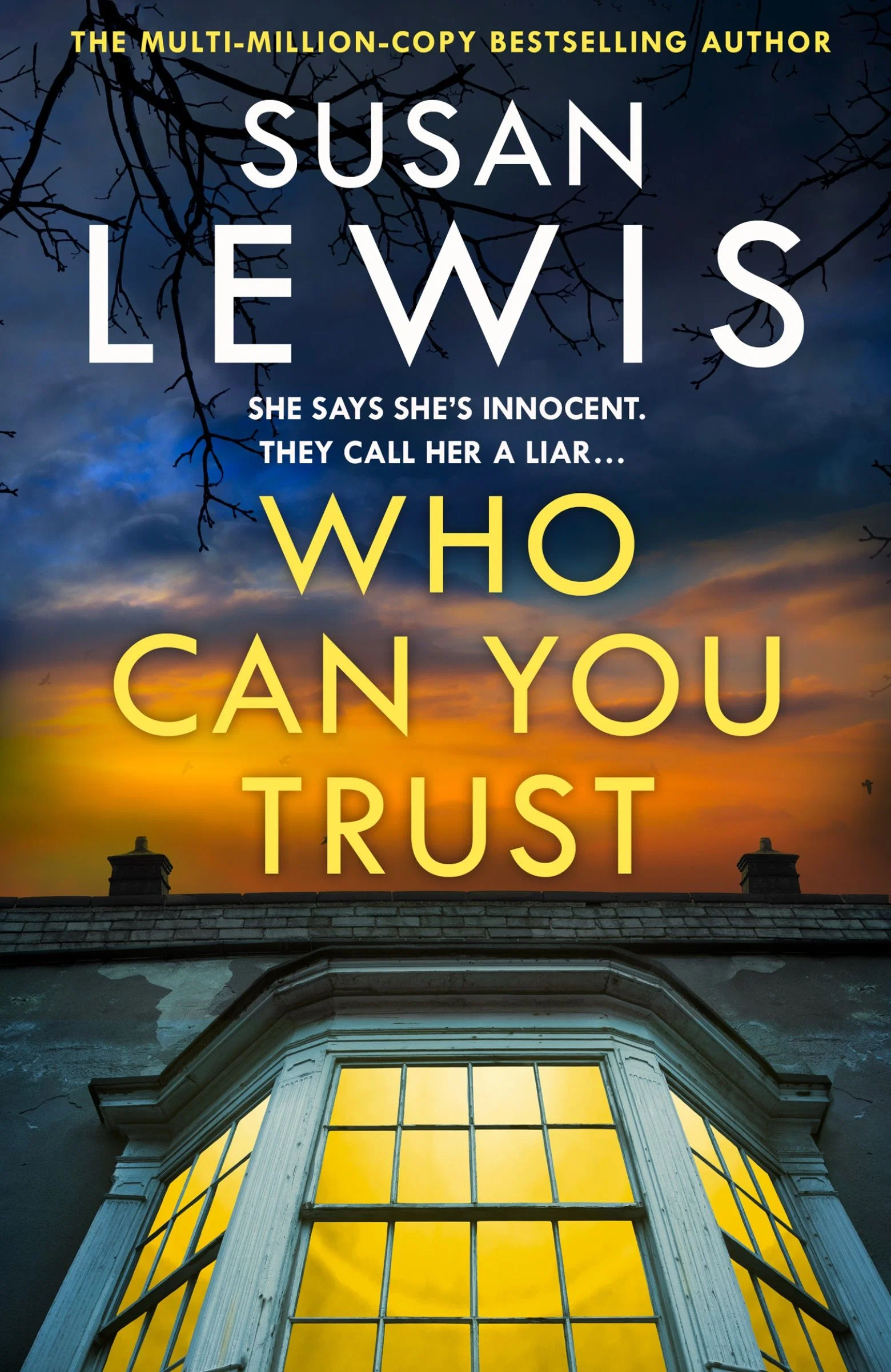 Who Can You Trust (Cristy Ward thriller) - Image 2