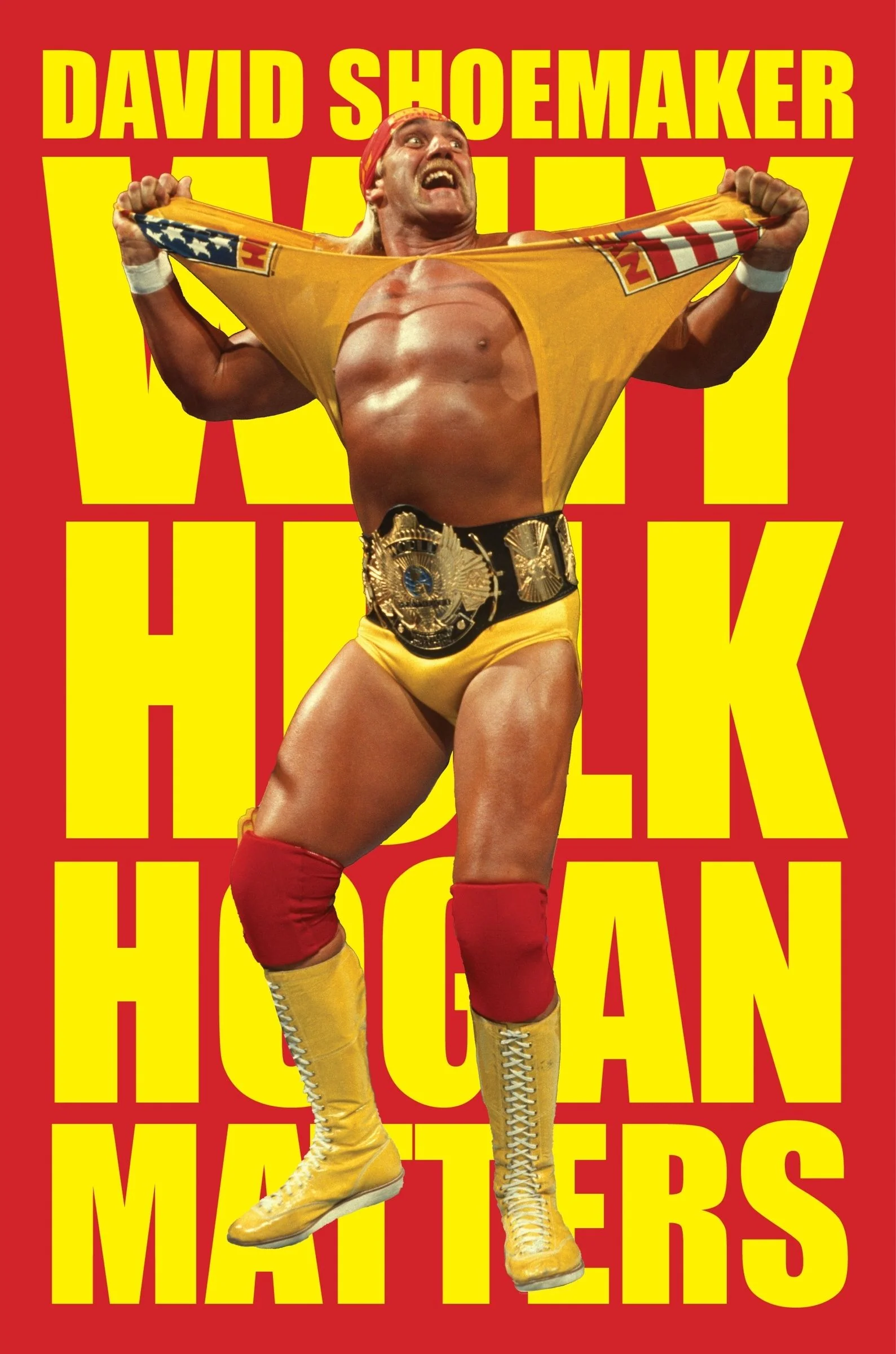 Why Hulk Hogan Matters - Image 2
