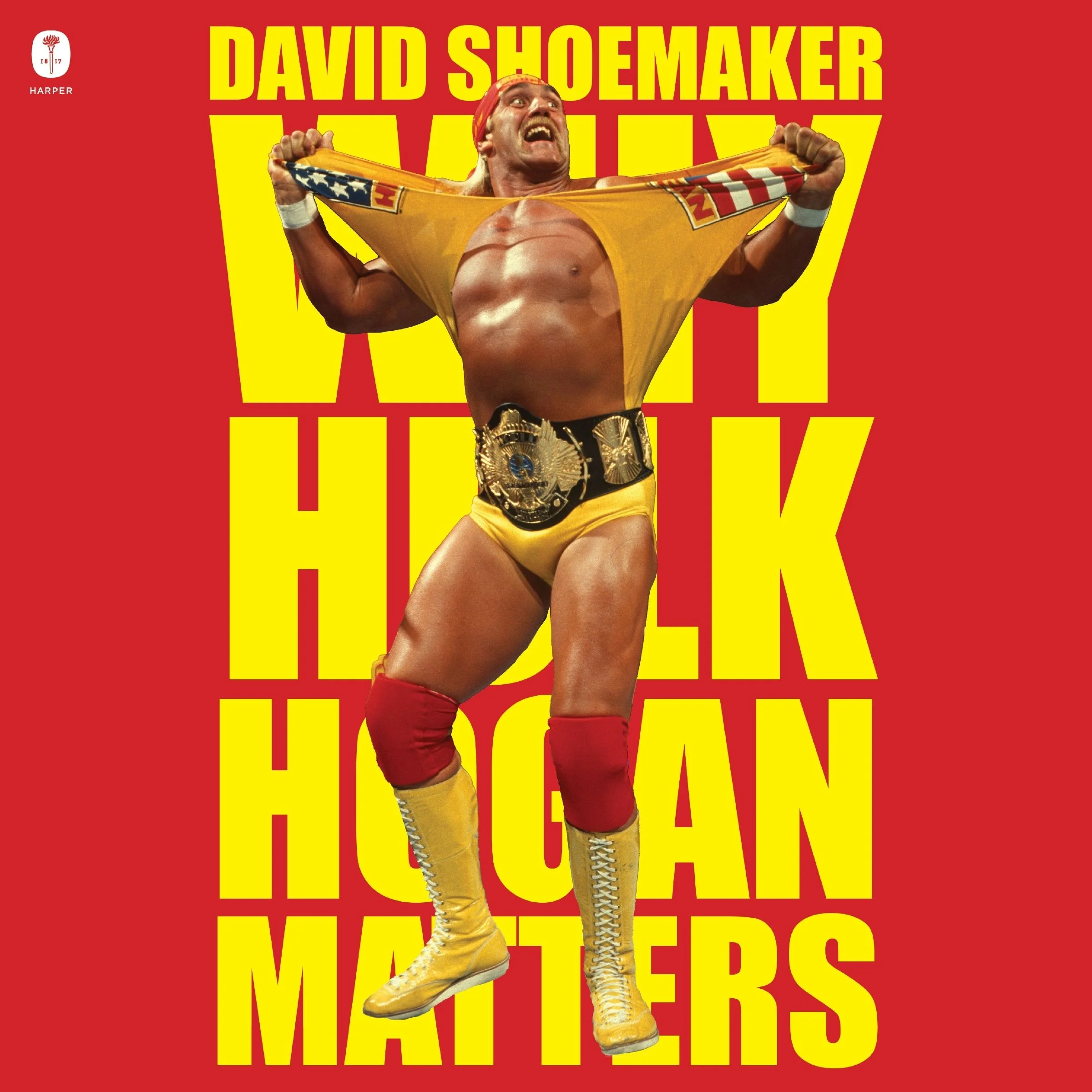 Why Hulk Hogan Matters - Image 4