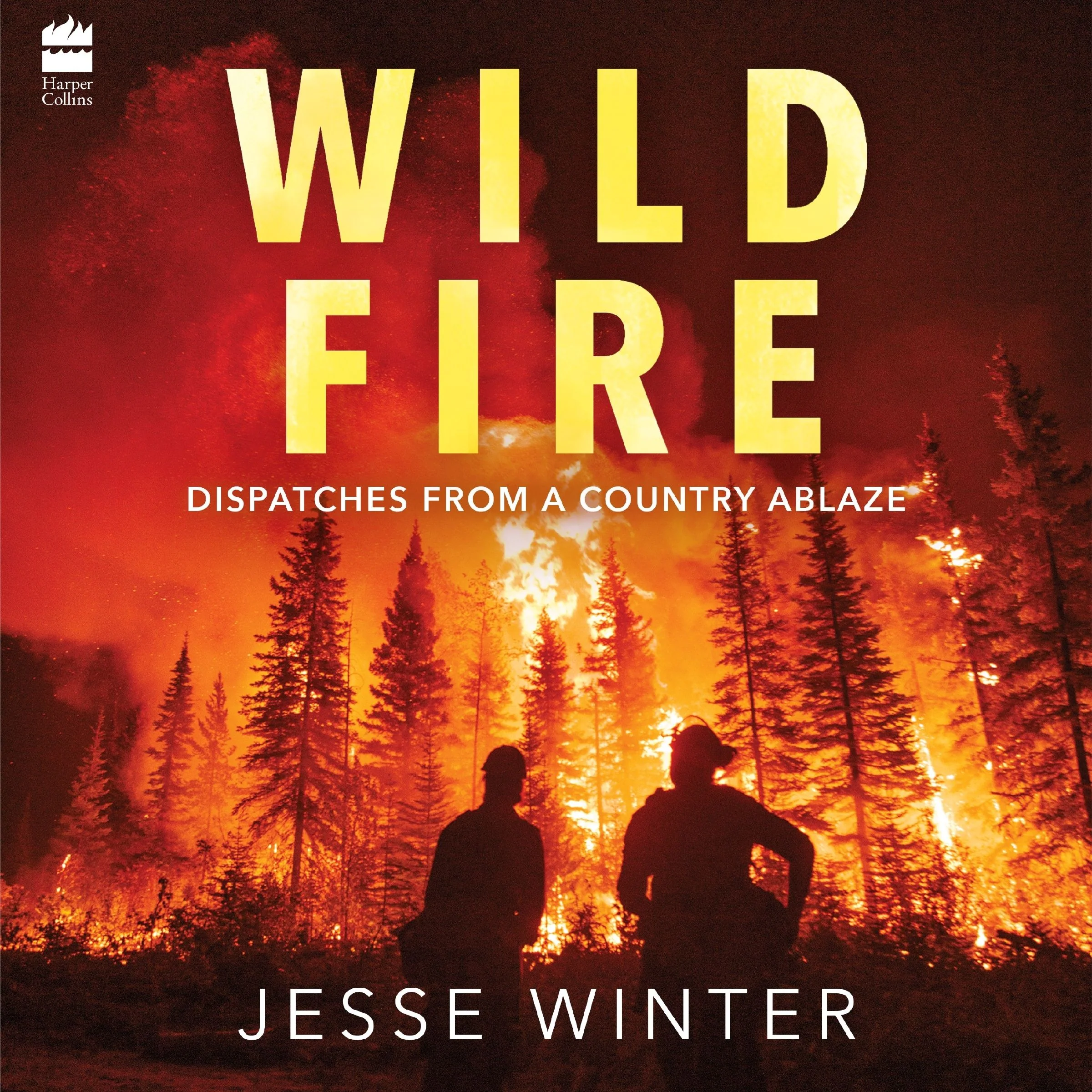 Wild Fire - Image 3