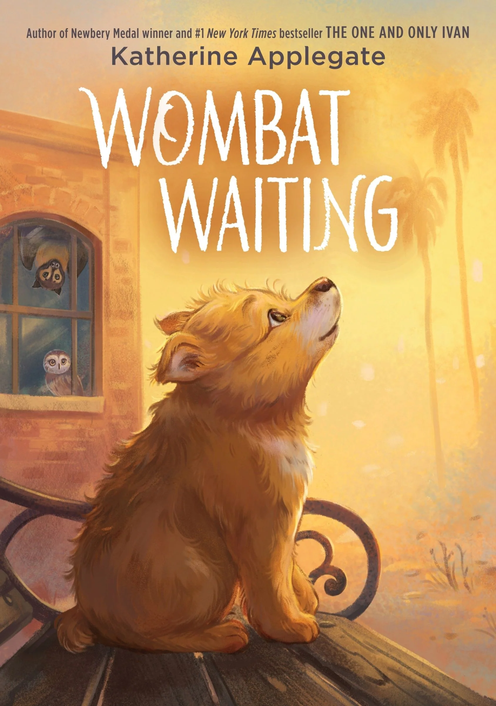 Wombat Waiting - Image 2