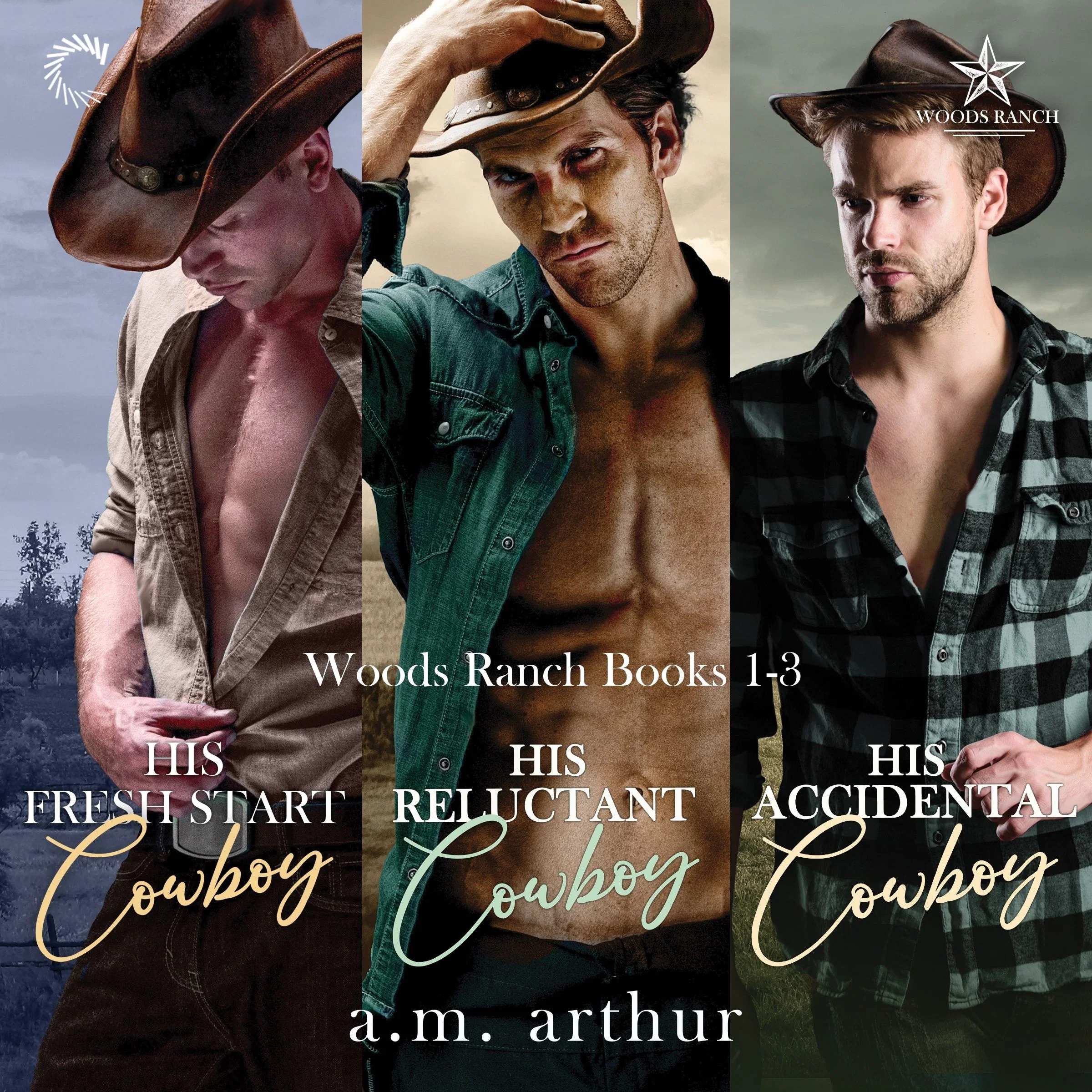 Woods Ranch Books 1-3 - Image 2