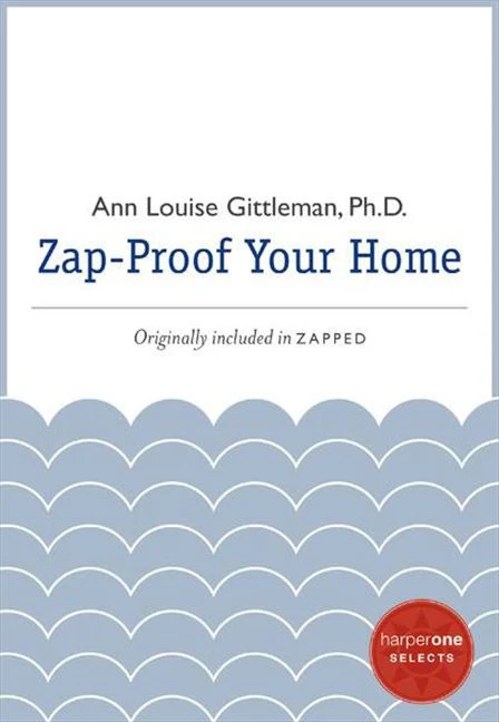 Zap Proof Your Home - Image 2